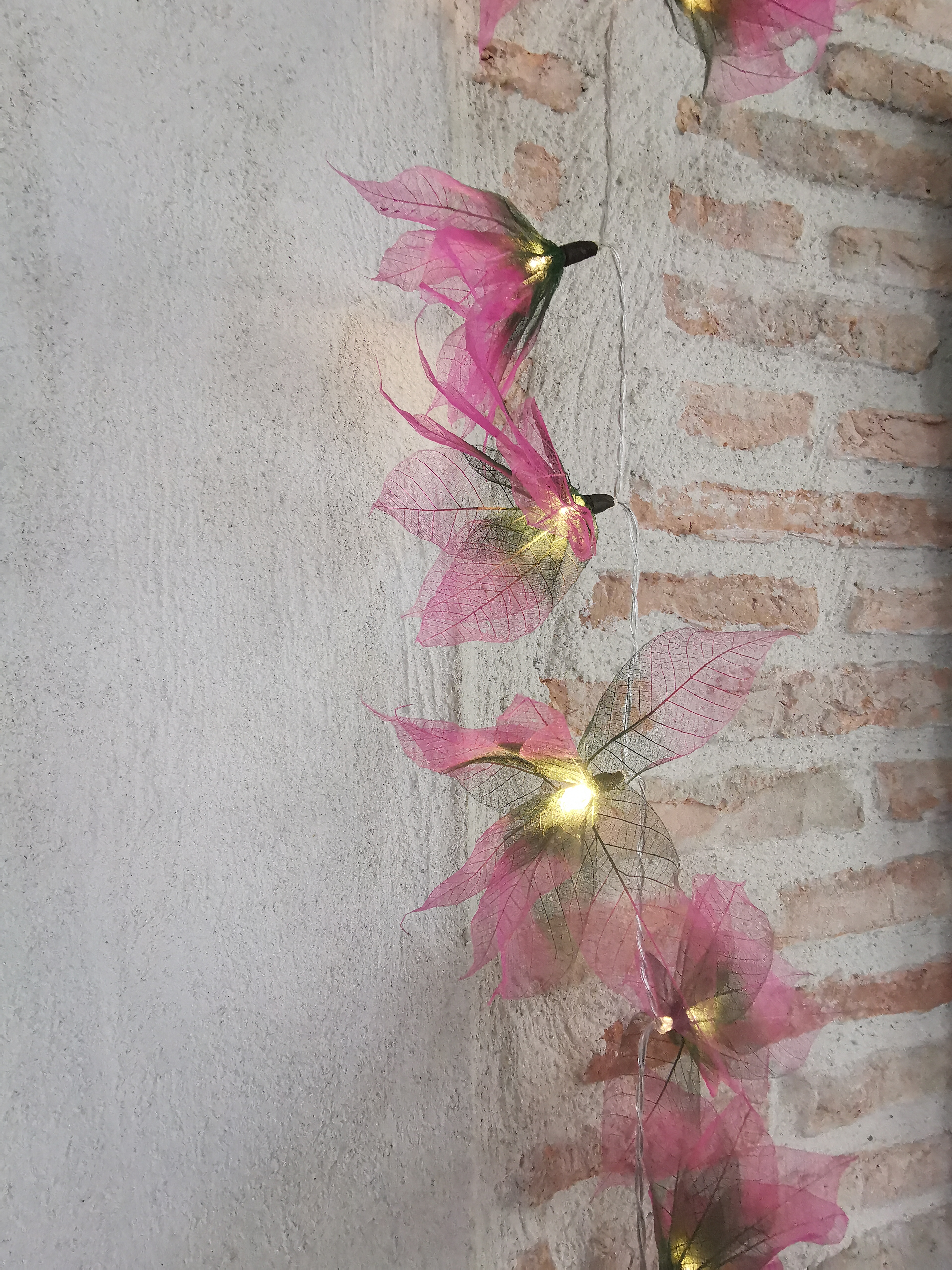 LA STAR VERTE/ROSE