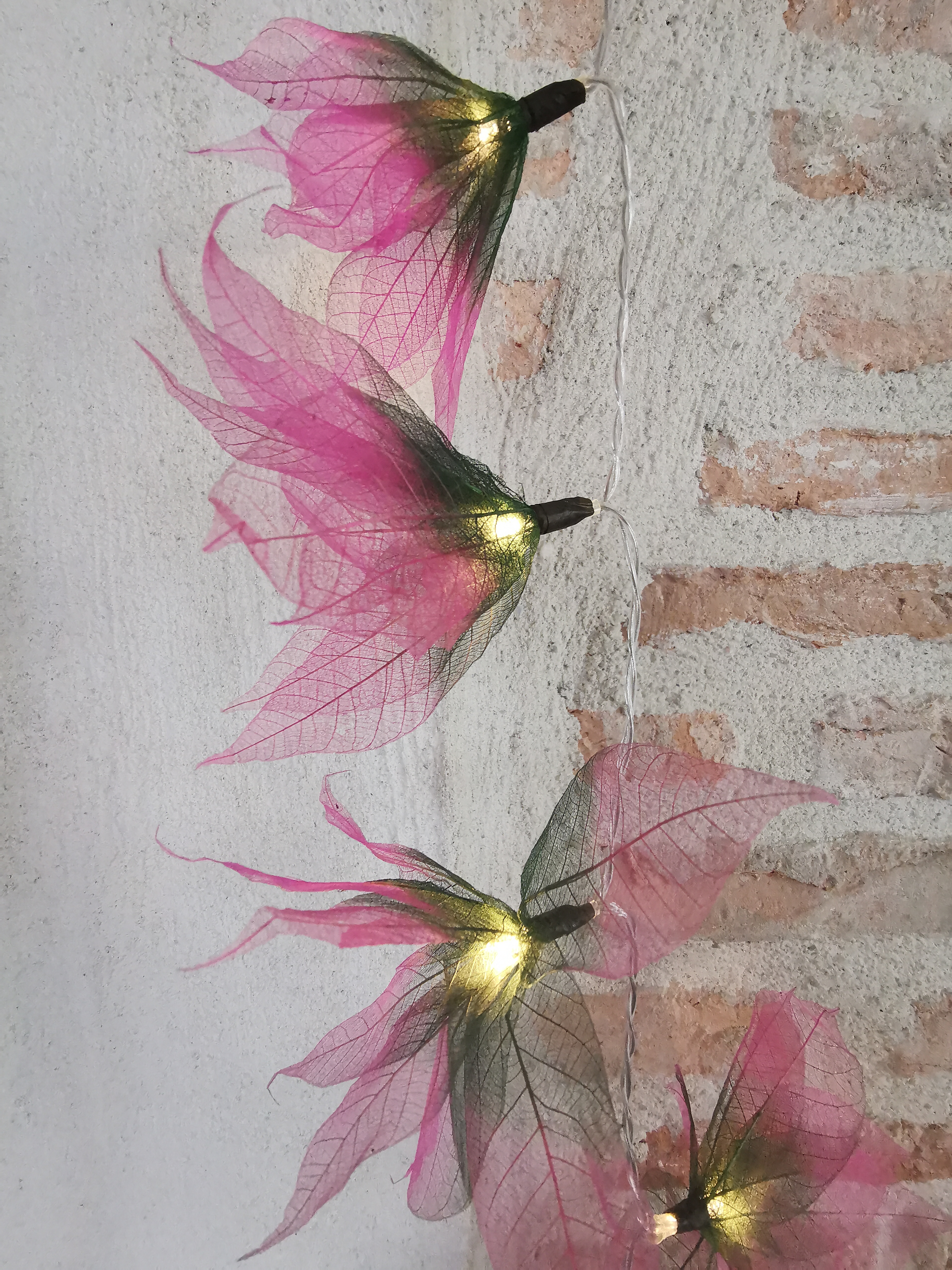 LA STAR VERTE/ROSE