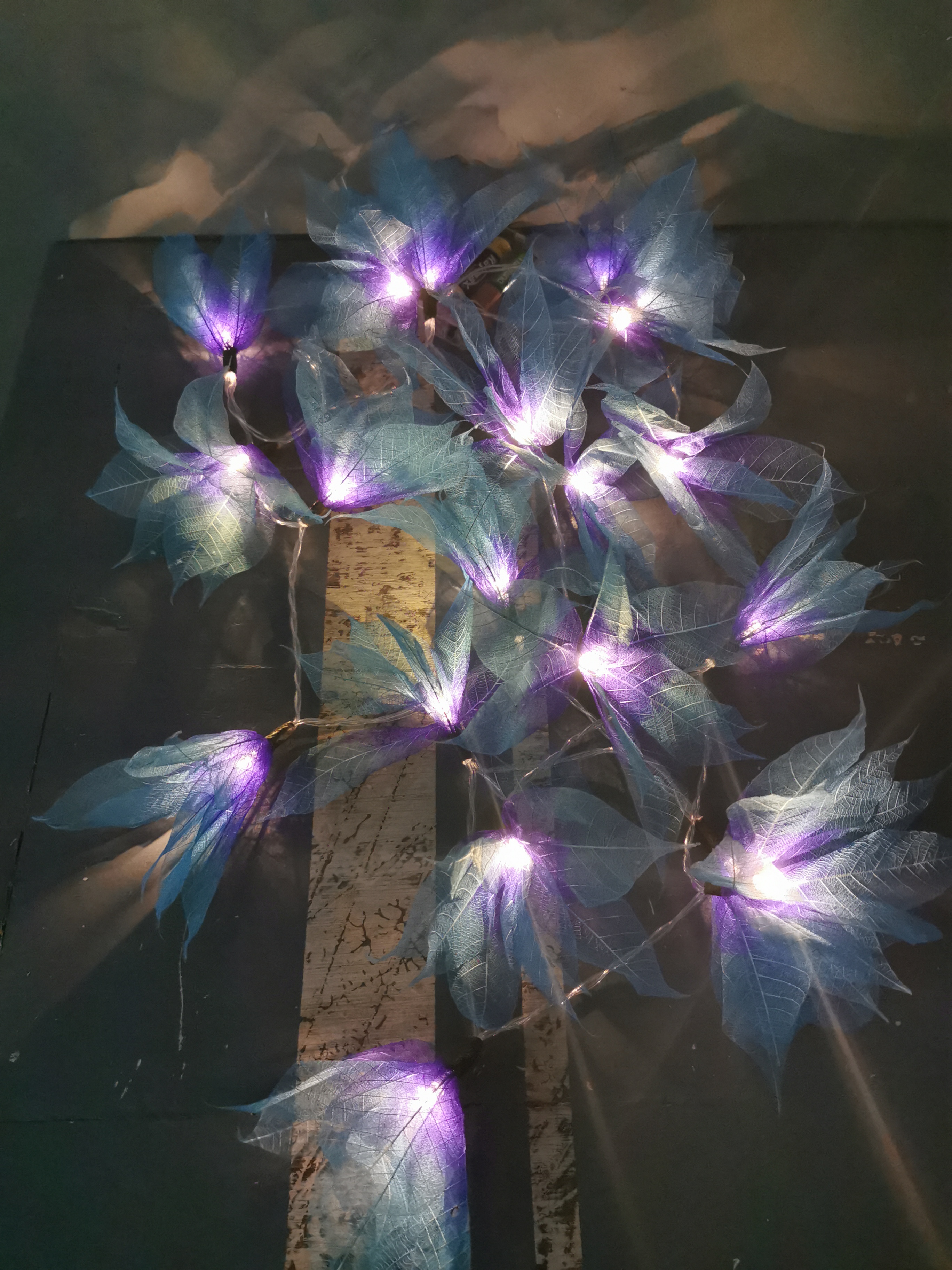 LA STAR VIOLETTE/BLEUE