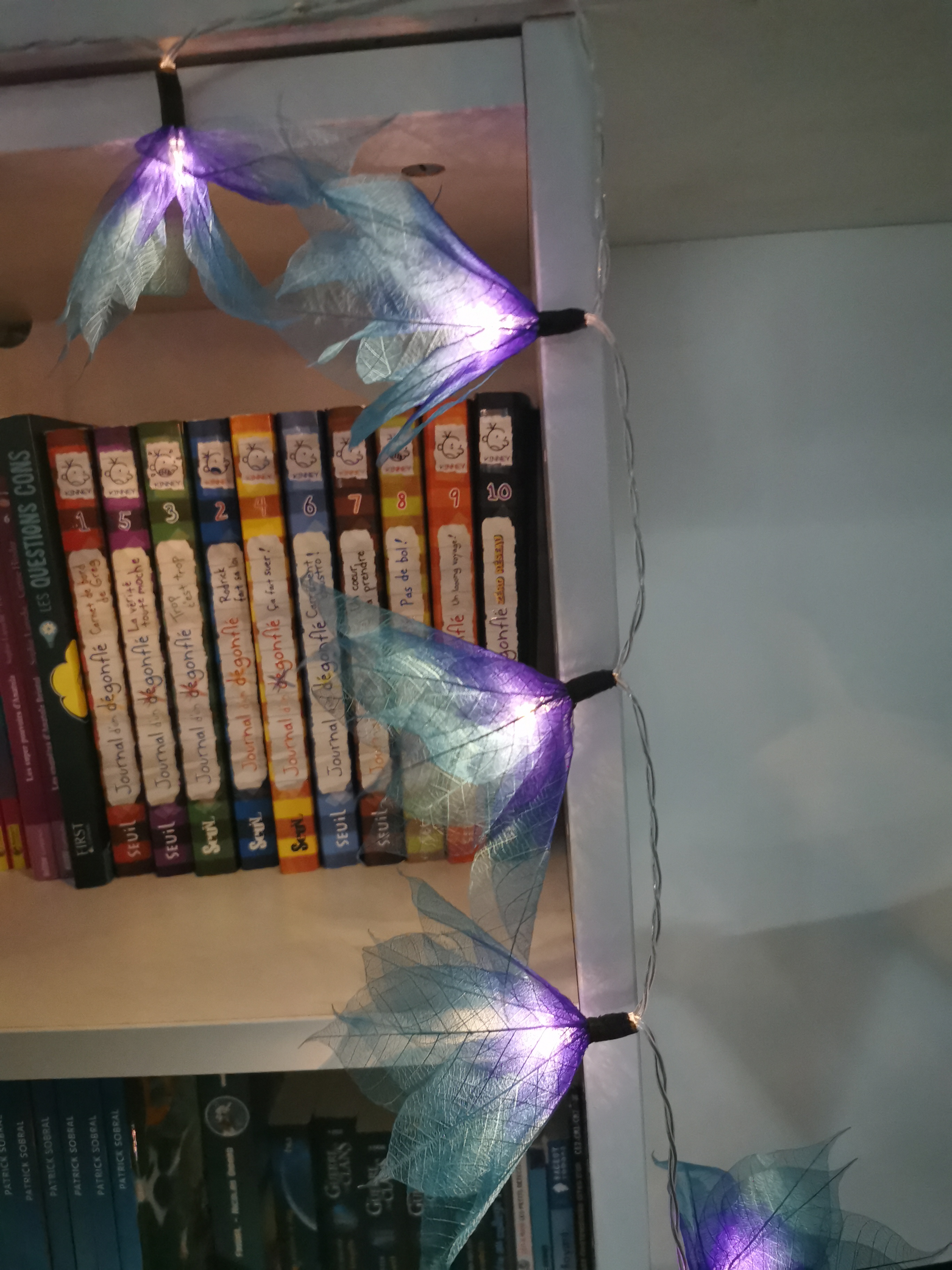 LA STAR VIOLETTE/BLEUE