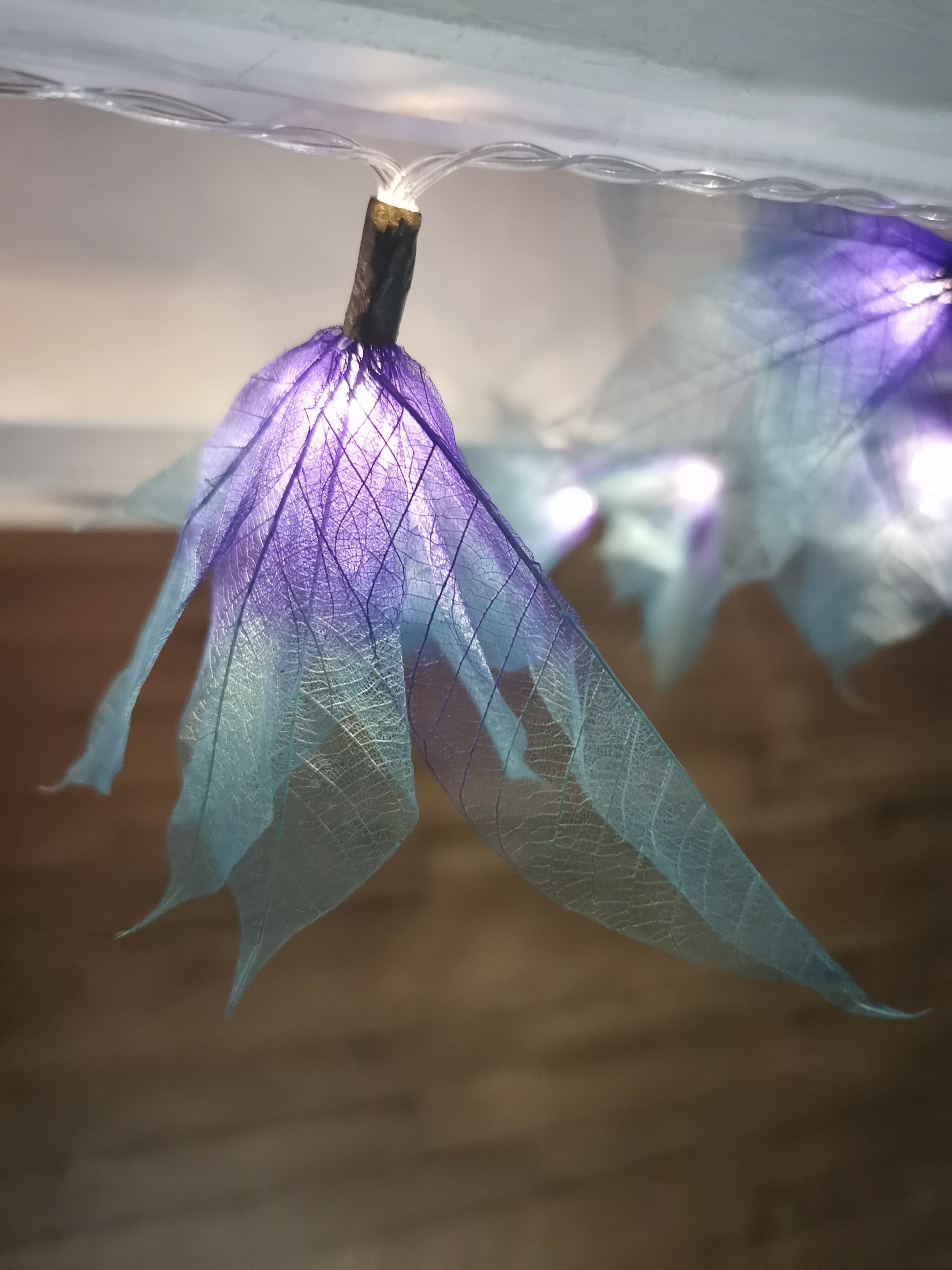 LA STAR VIOLETTE/BLEUE