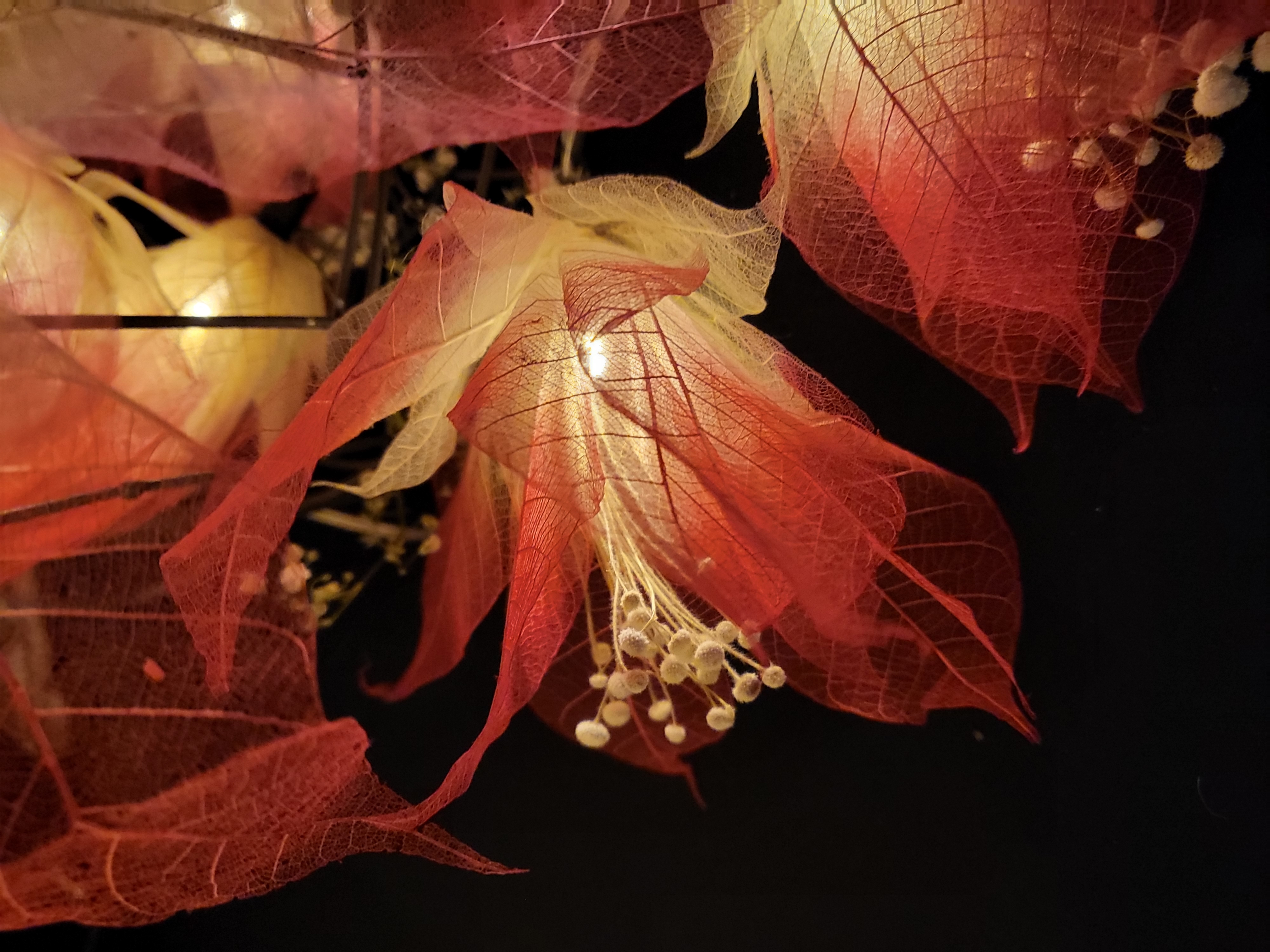LA GRANDE PISTILS ECRUE/ROUGE