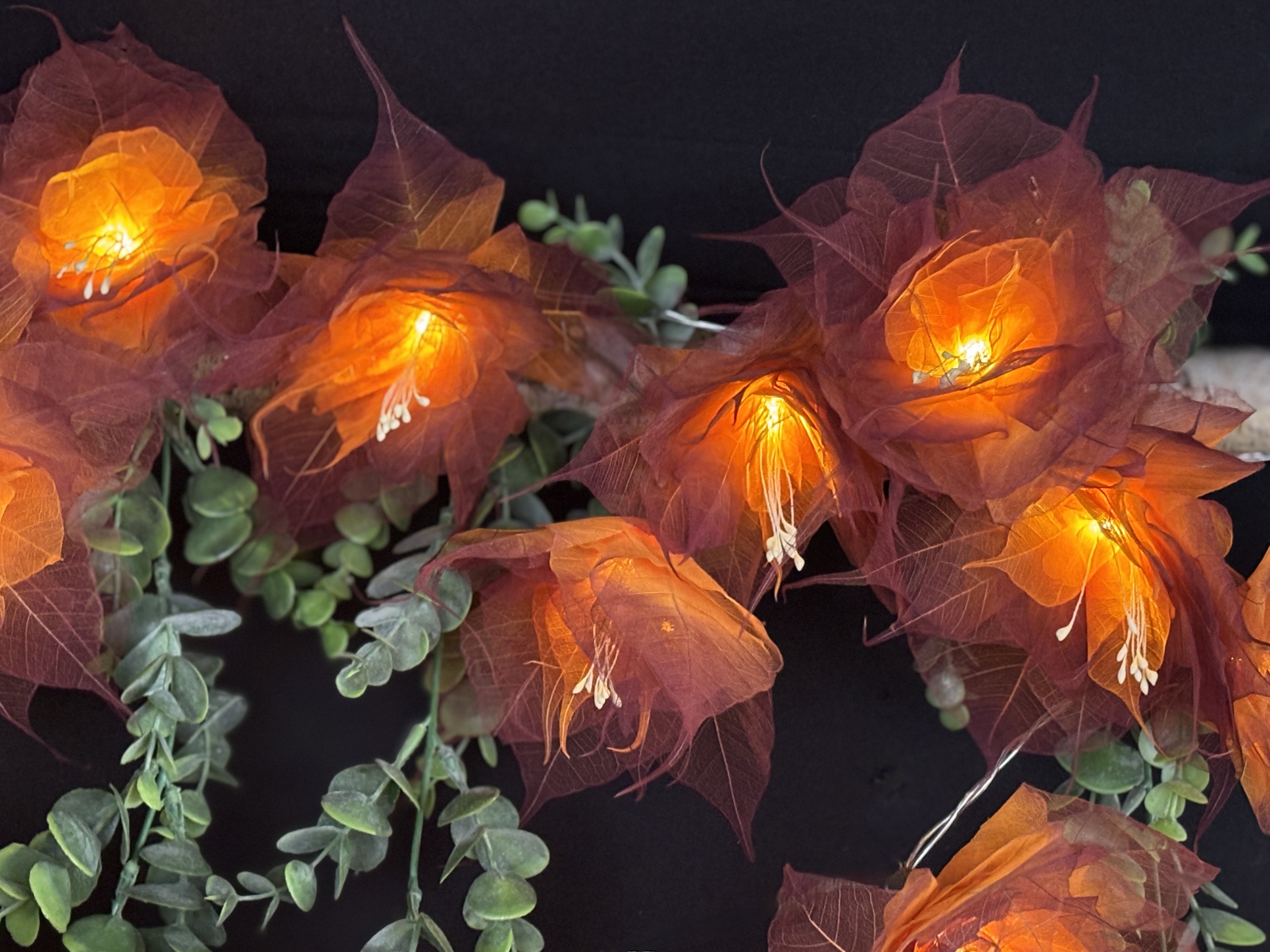 LA PIVOINE ORANGE/MARRON