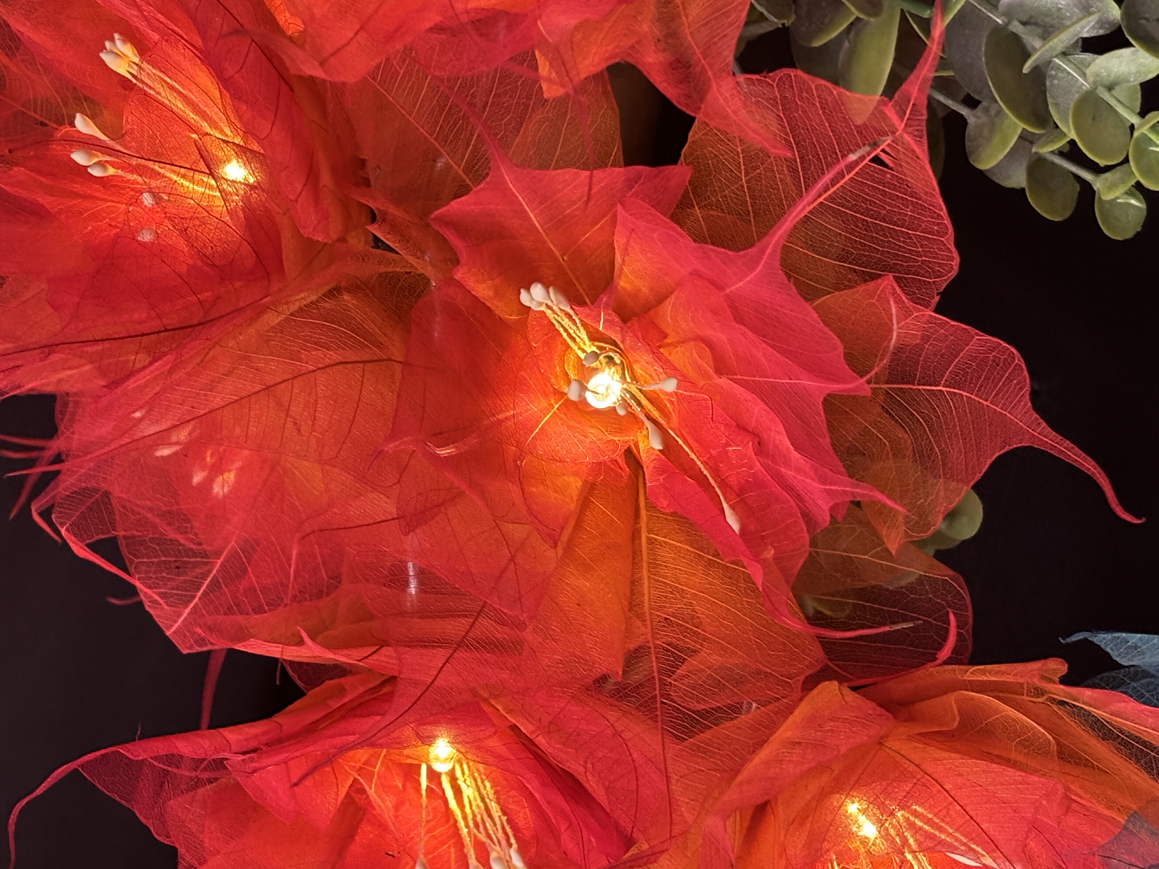 LA PIVOINE ORANGE/ROUGE
