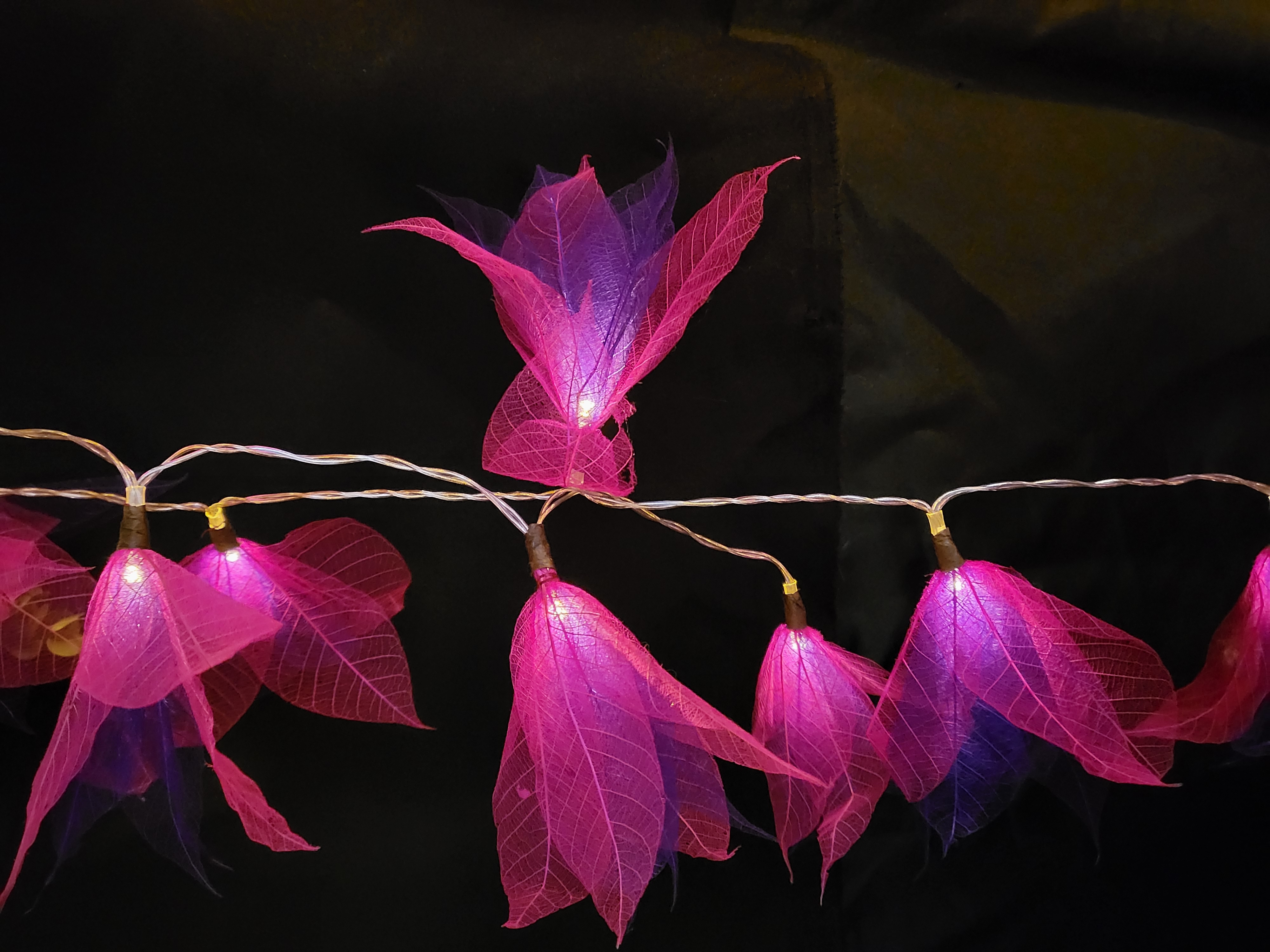 LA STAR FUSHIA-VIOLETTE