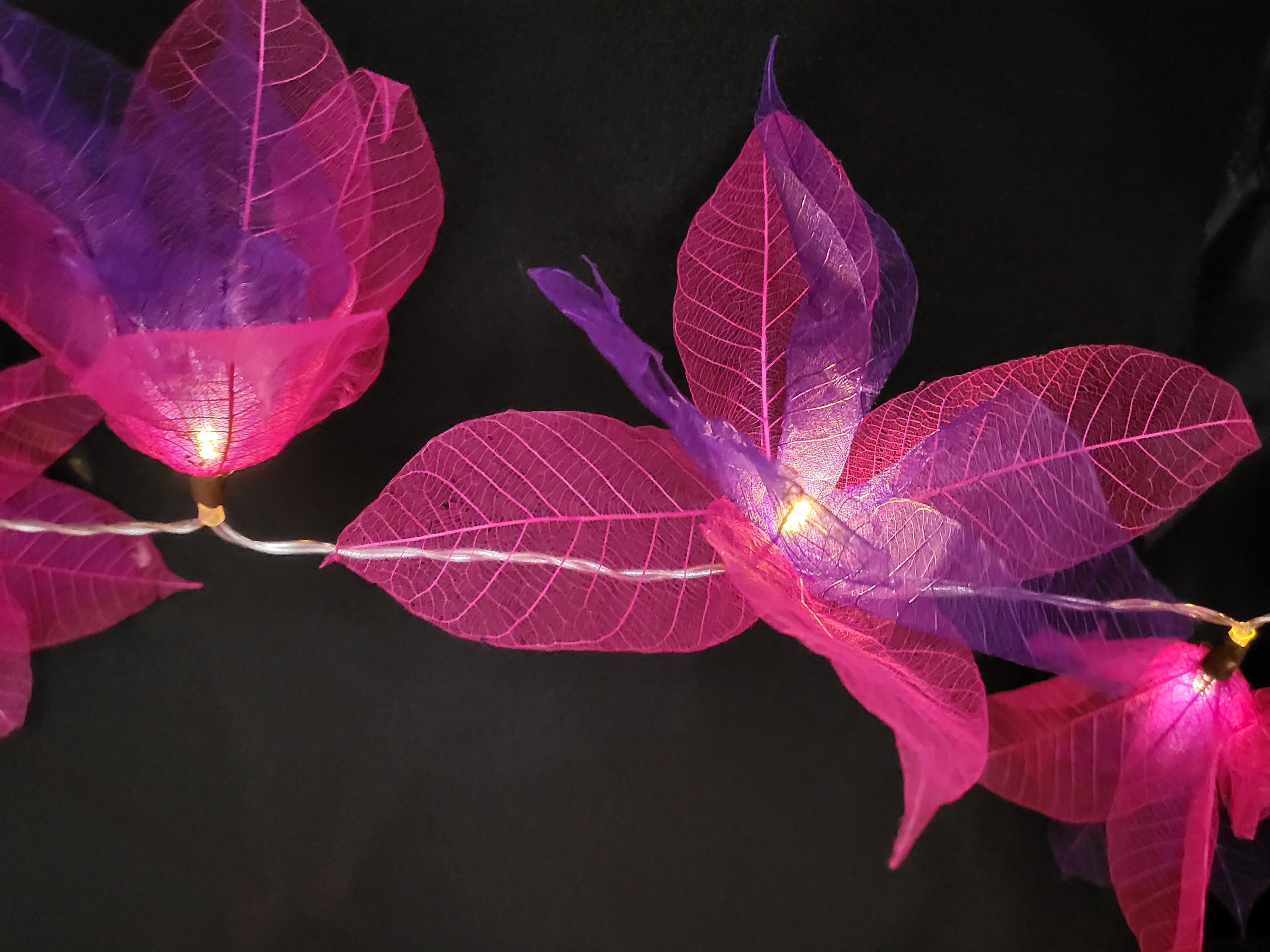 LA STAR FUSHIA-VIOLETTE