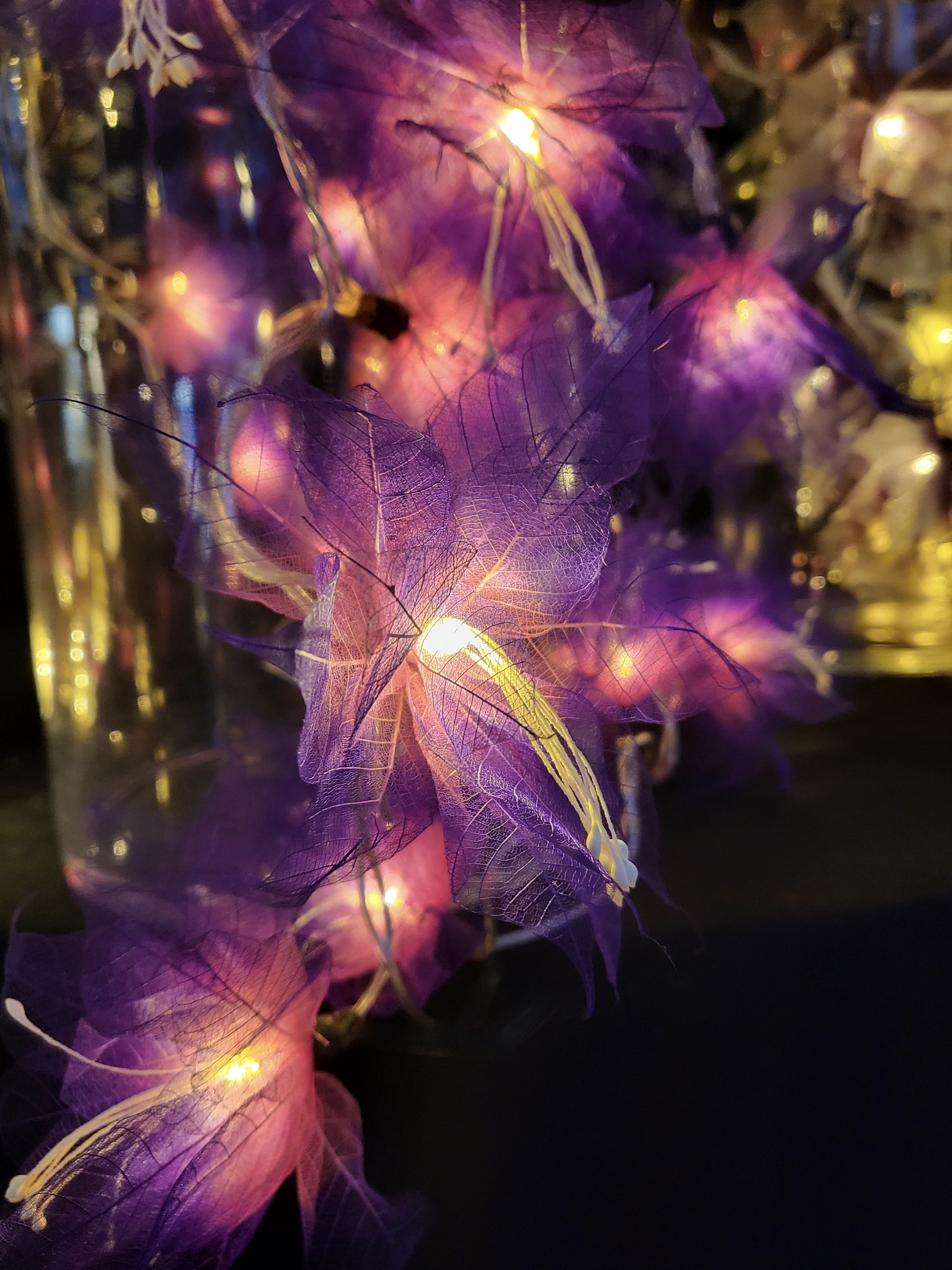 LA GERBILA ROSE/VIOLETTE