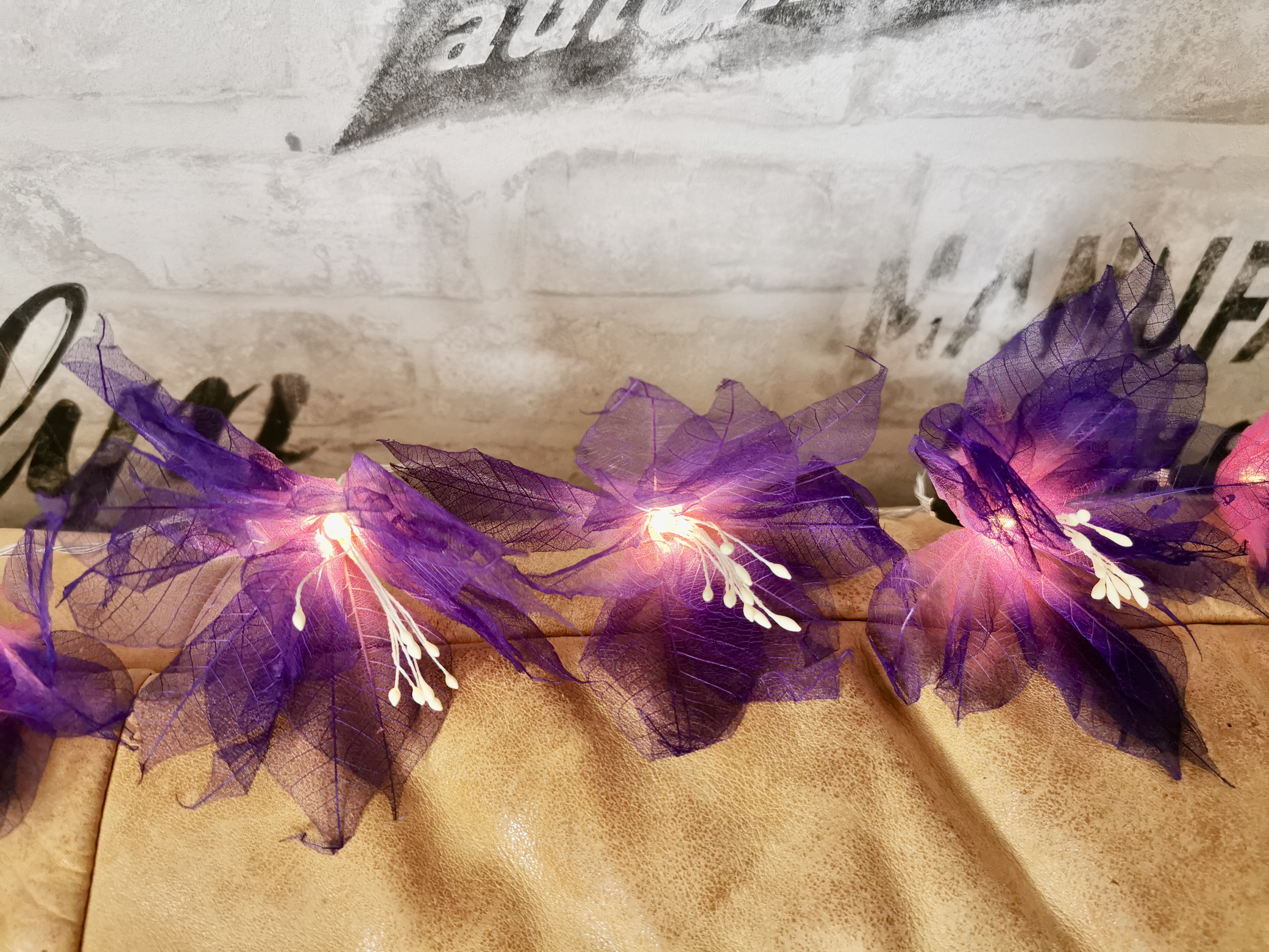 LA GERBILA ROSE/VIOLETTE