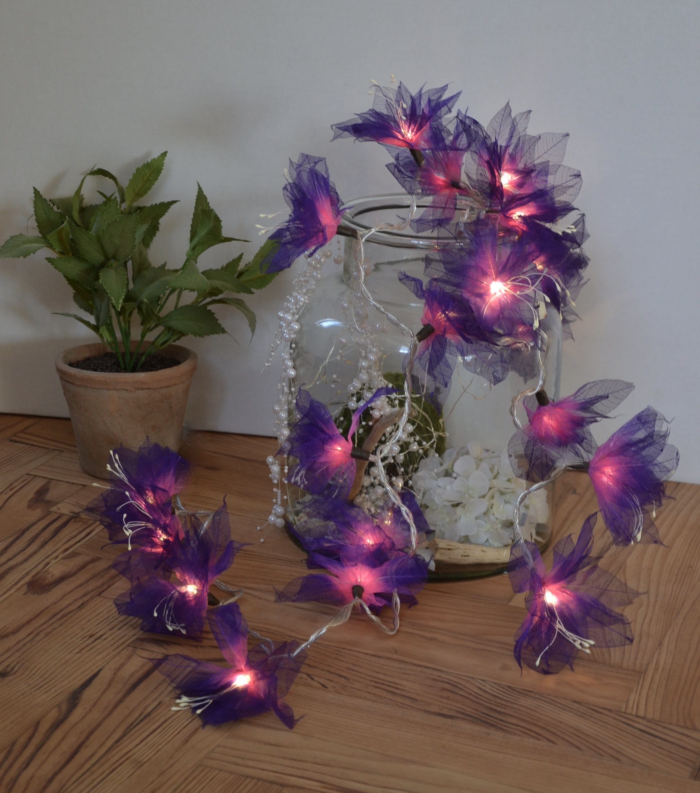LA GERBILA ROSE/VIOLETTE