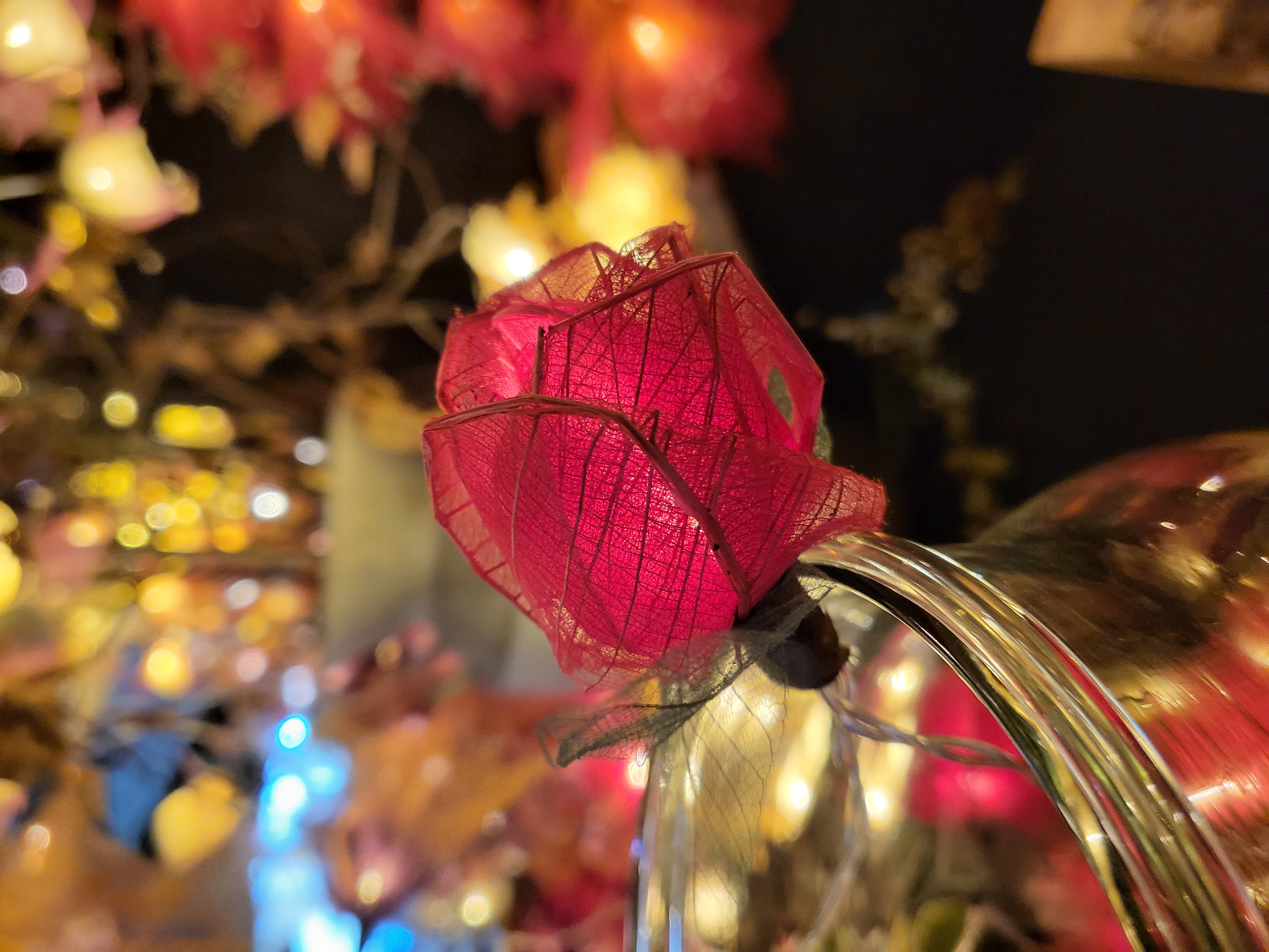 LA ROSE ROUGE