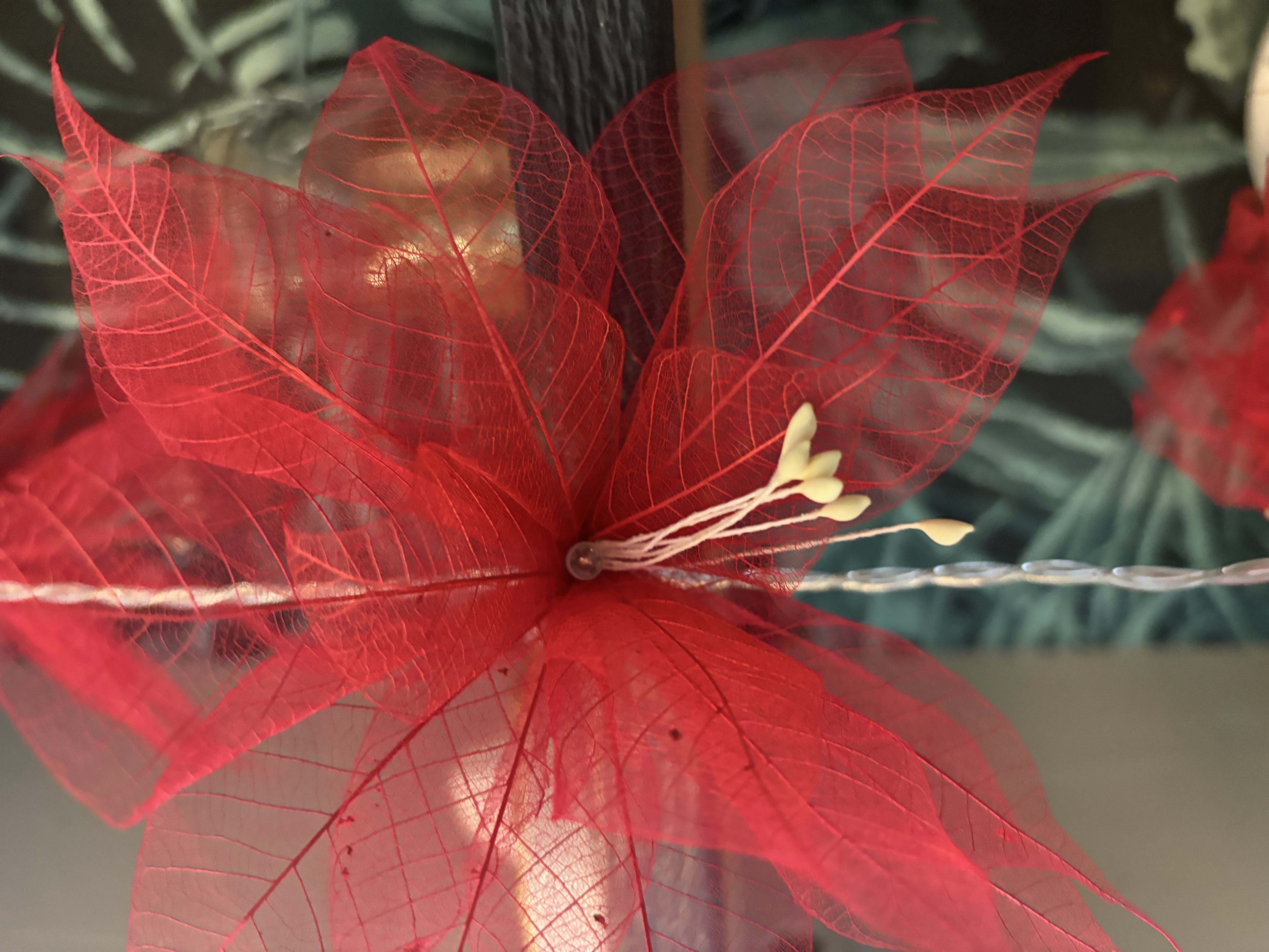 LA GERBILA ROUGE
