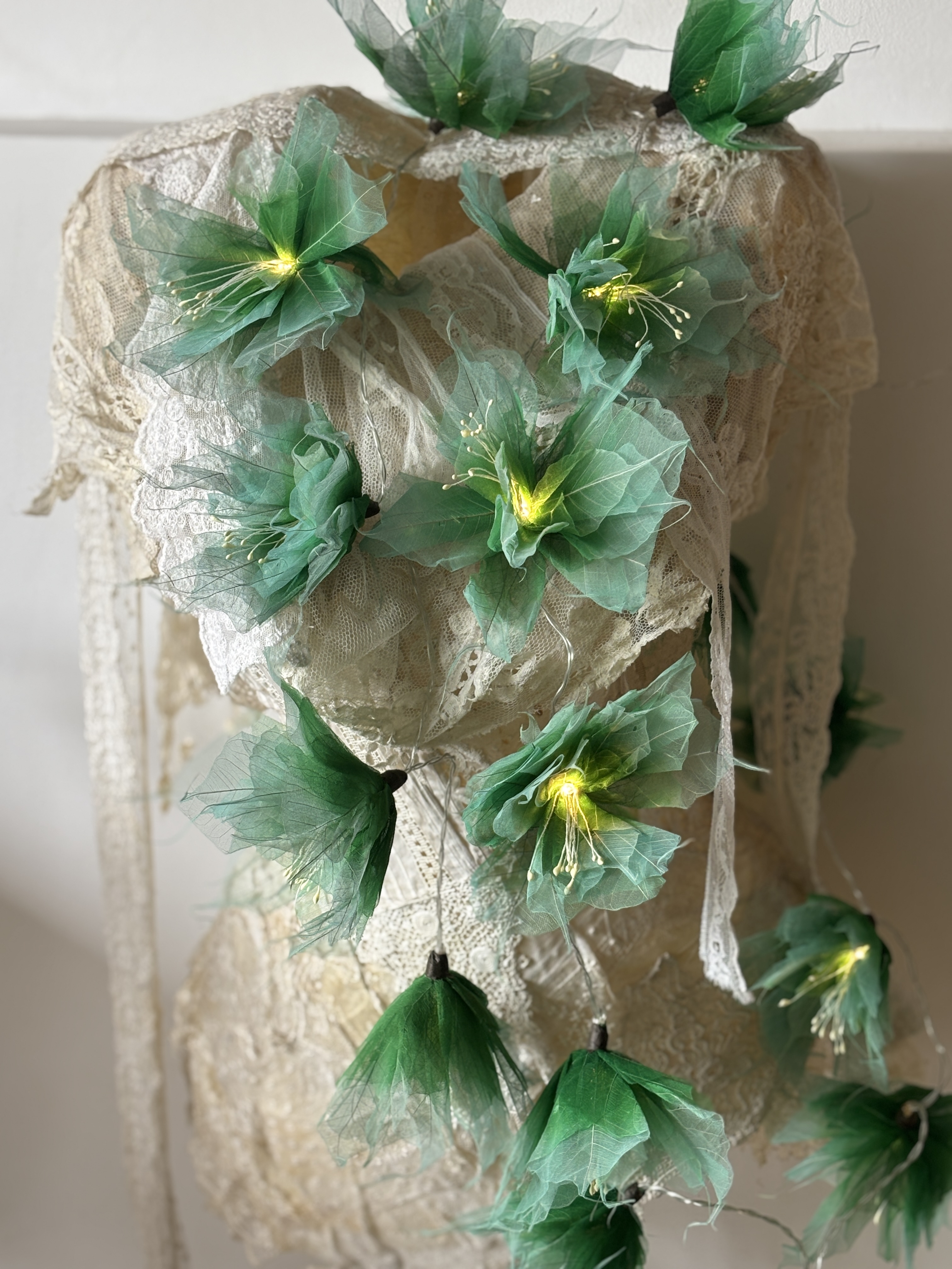 LA PIVOINE VERT D'EAU