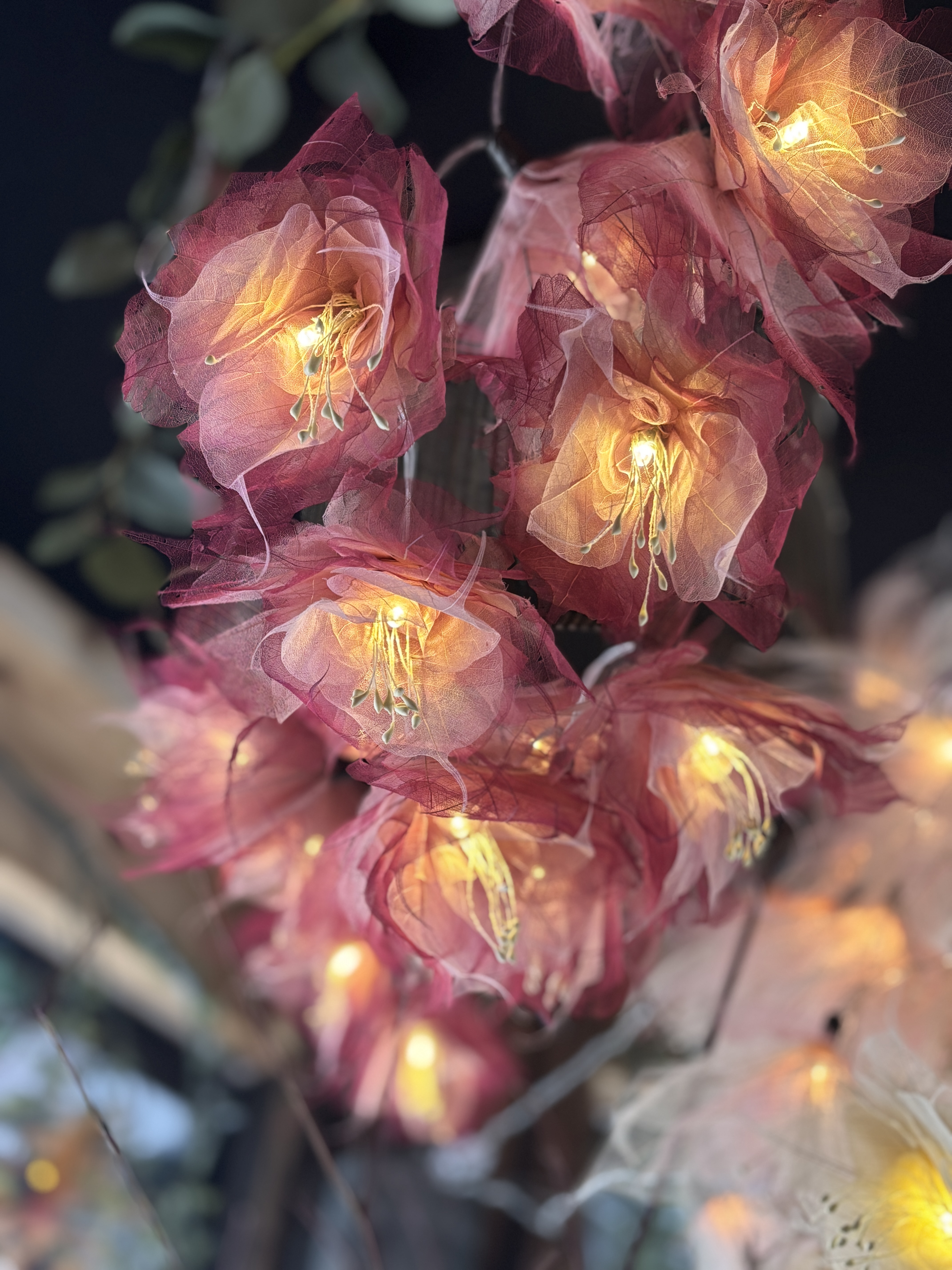 LA GRANDE PIVOINE BEIGE/ROSE/BORDEAUX