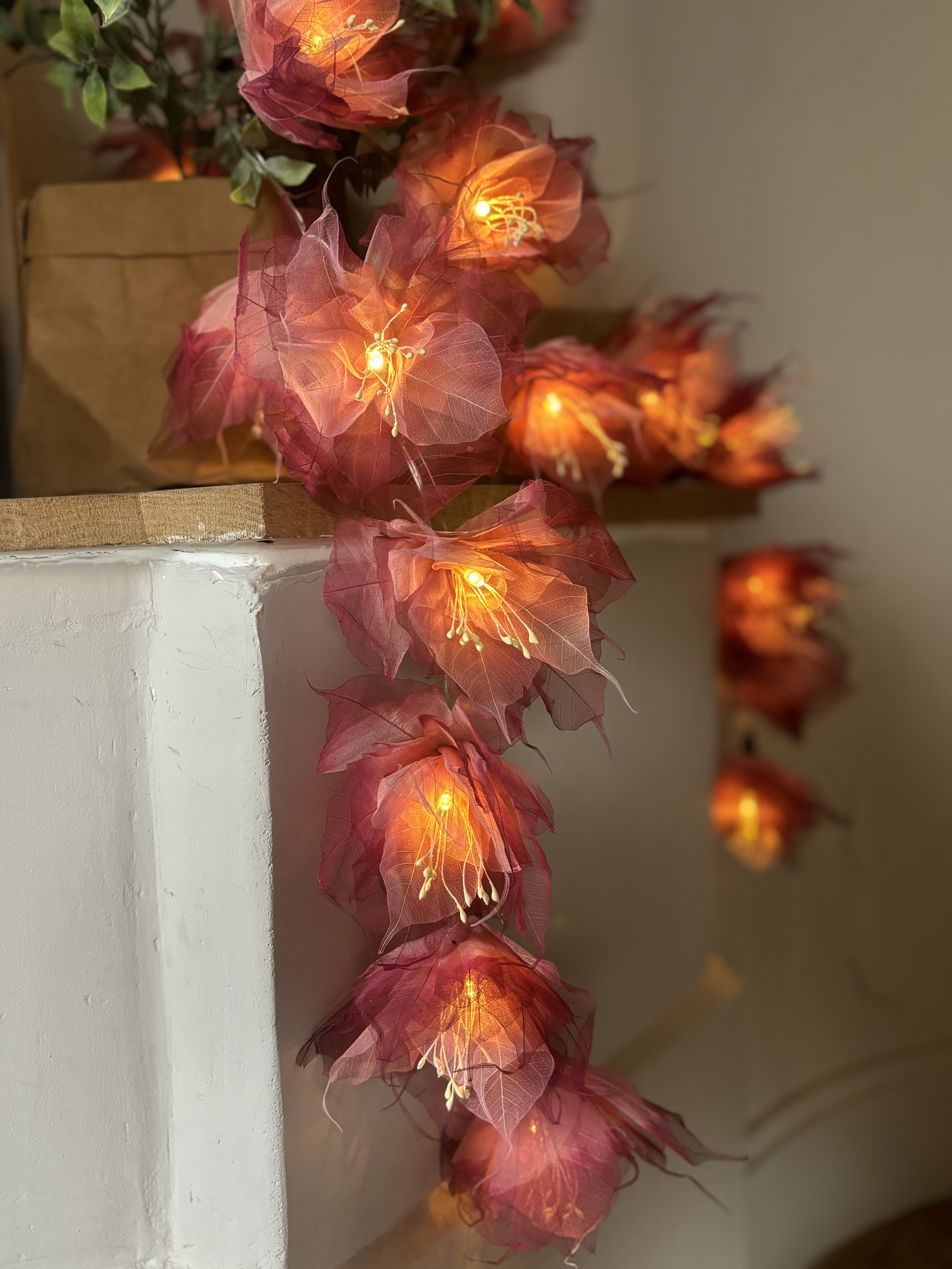 LA GRANDE PIVOINE BEIGE/ROSE/BORDEAUX