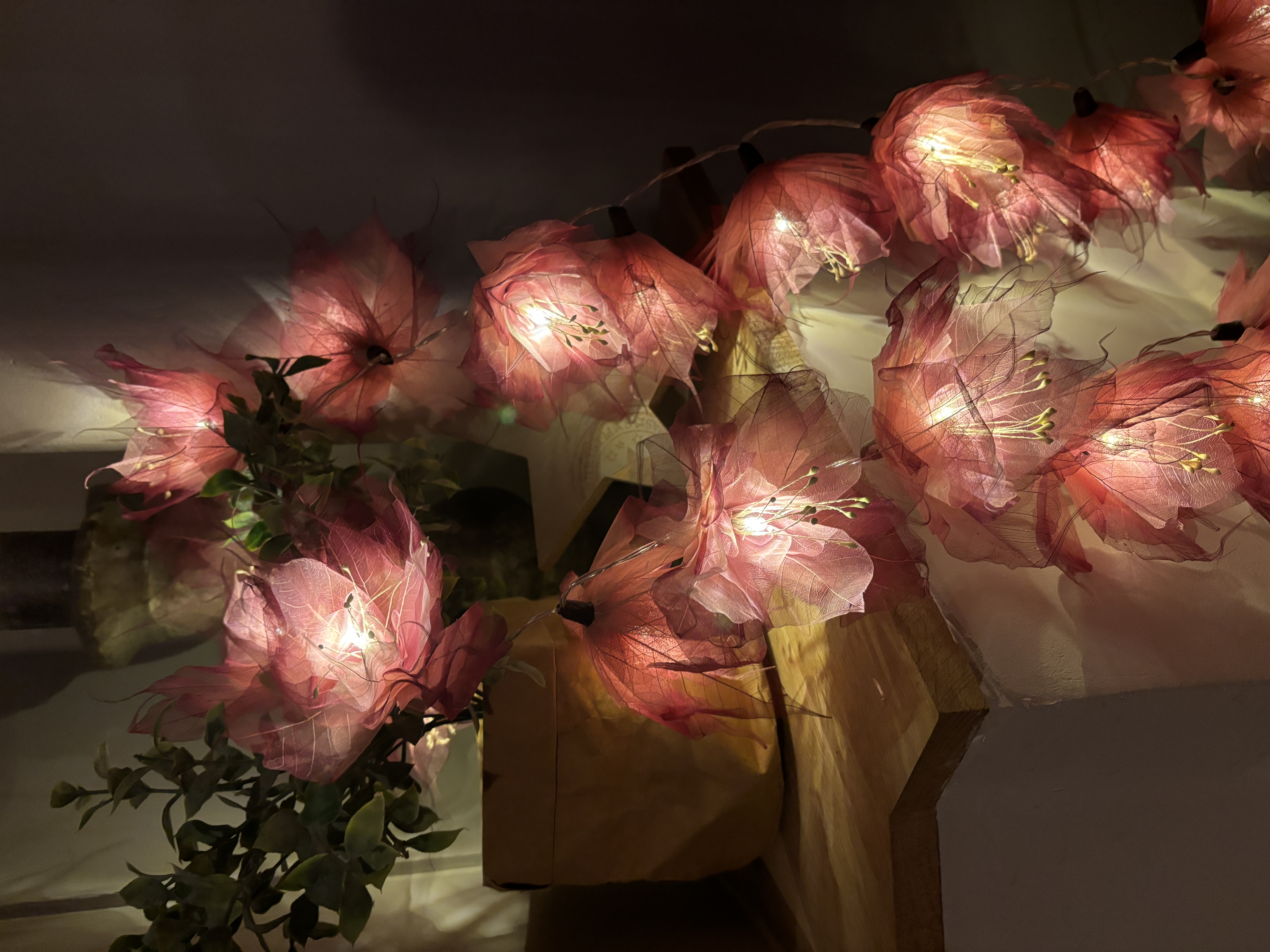 LA GRANDE PIVOINE BEIGE/ROSE/BORDEAUX
