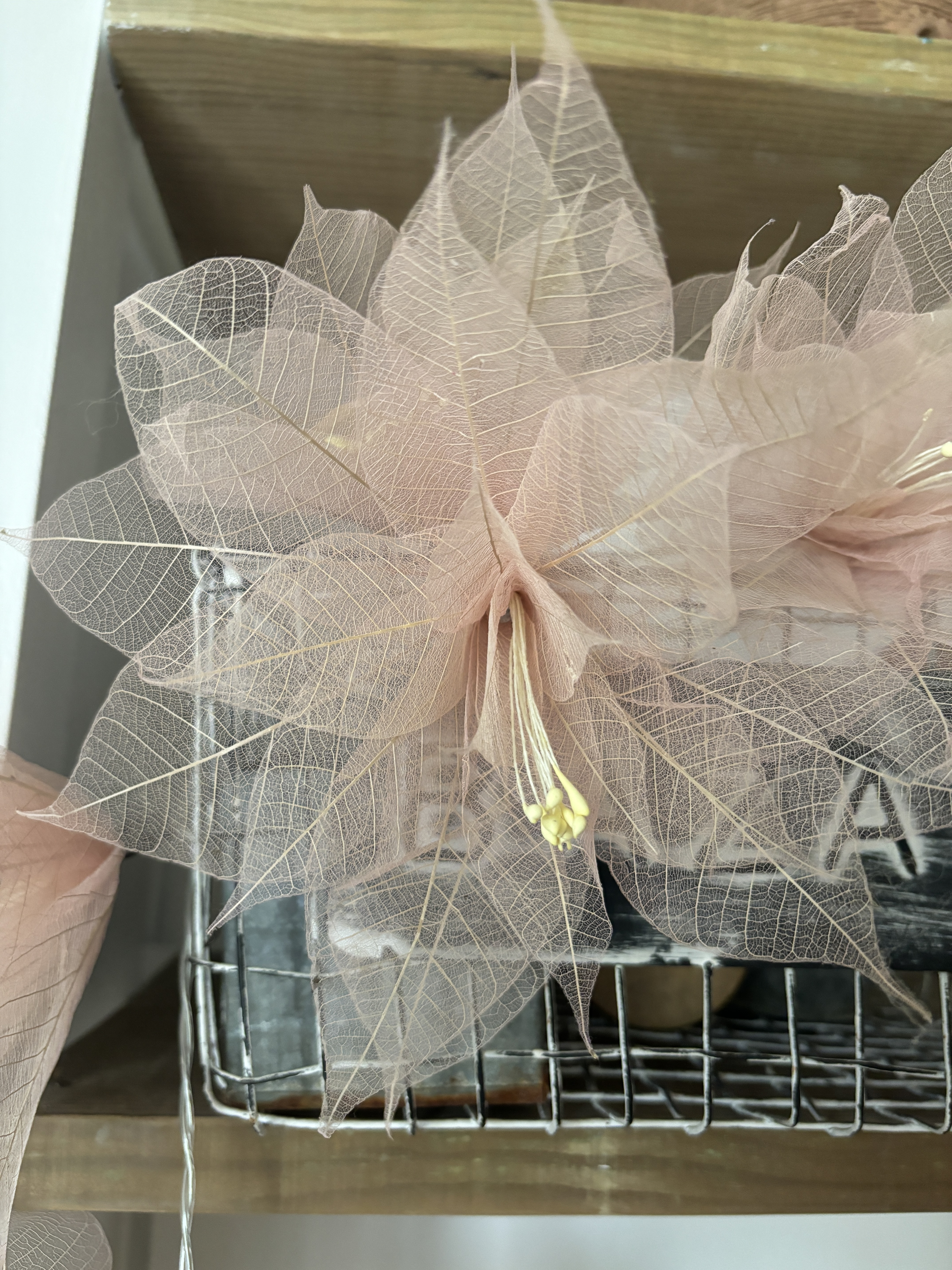 La guirlande Gerbila Rose Poudrée