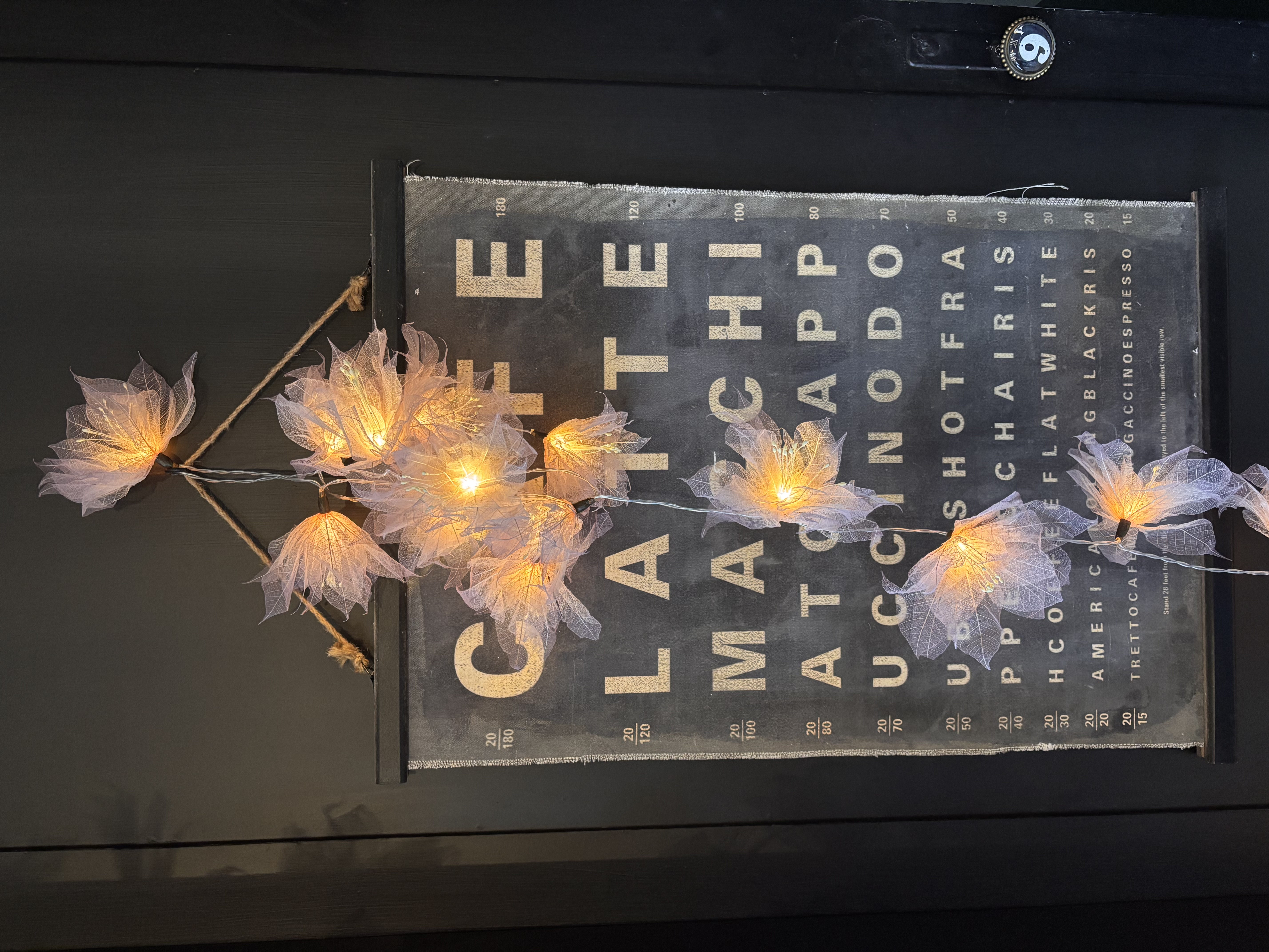 LA GERBILA ROSE/GRIS/PARME