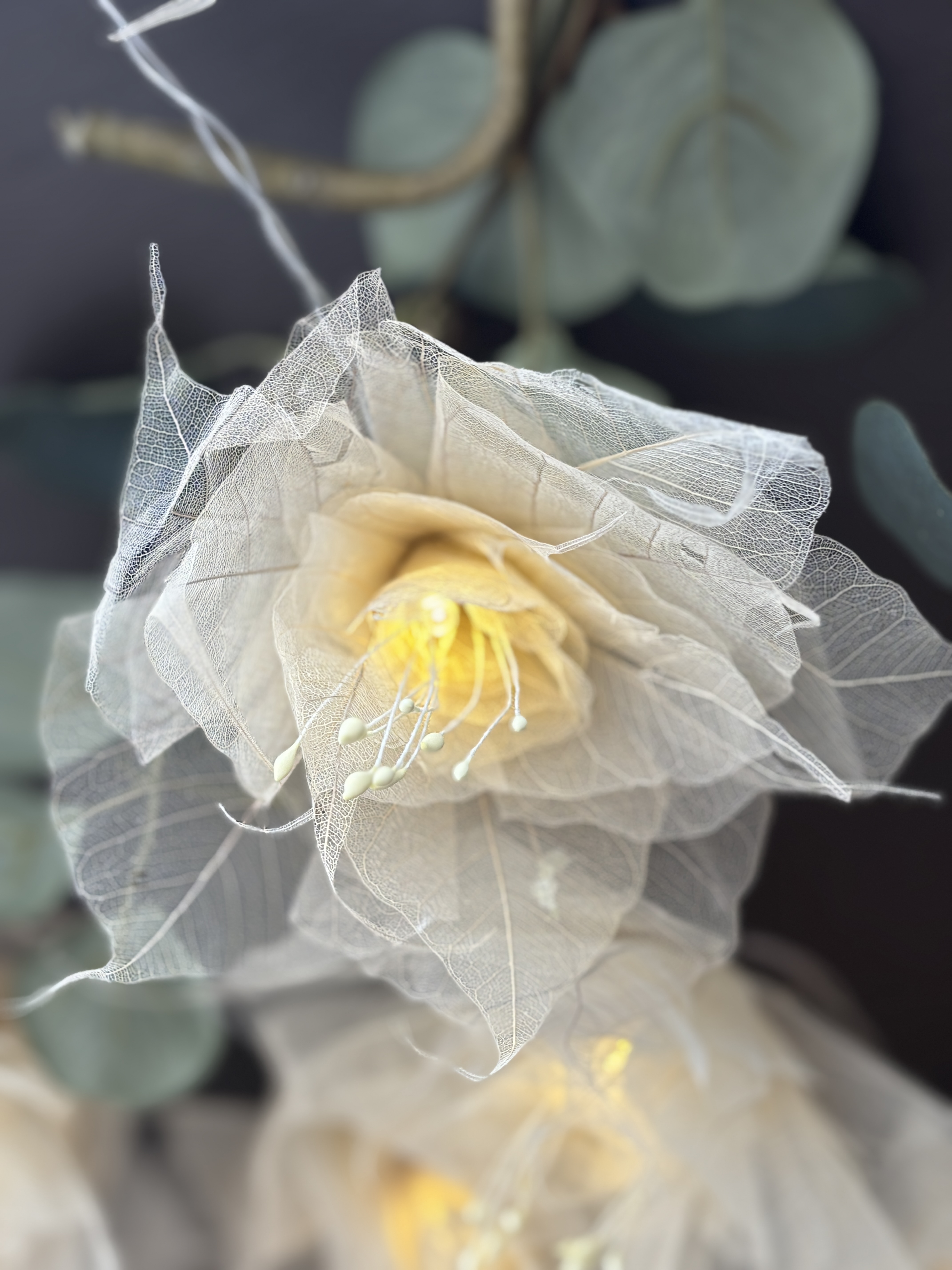 LA PIVOINE ECRUE