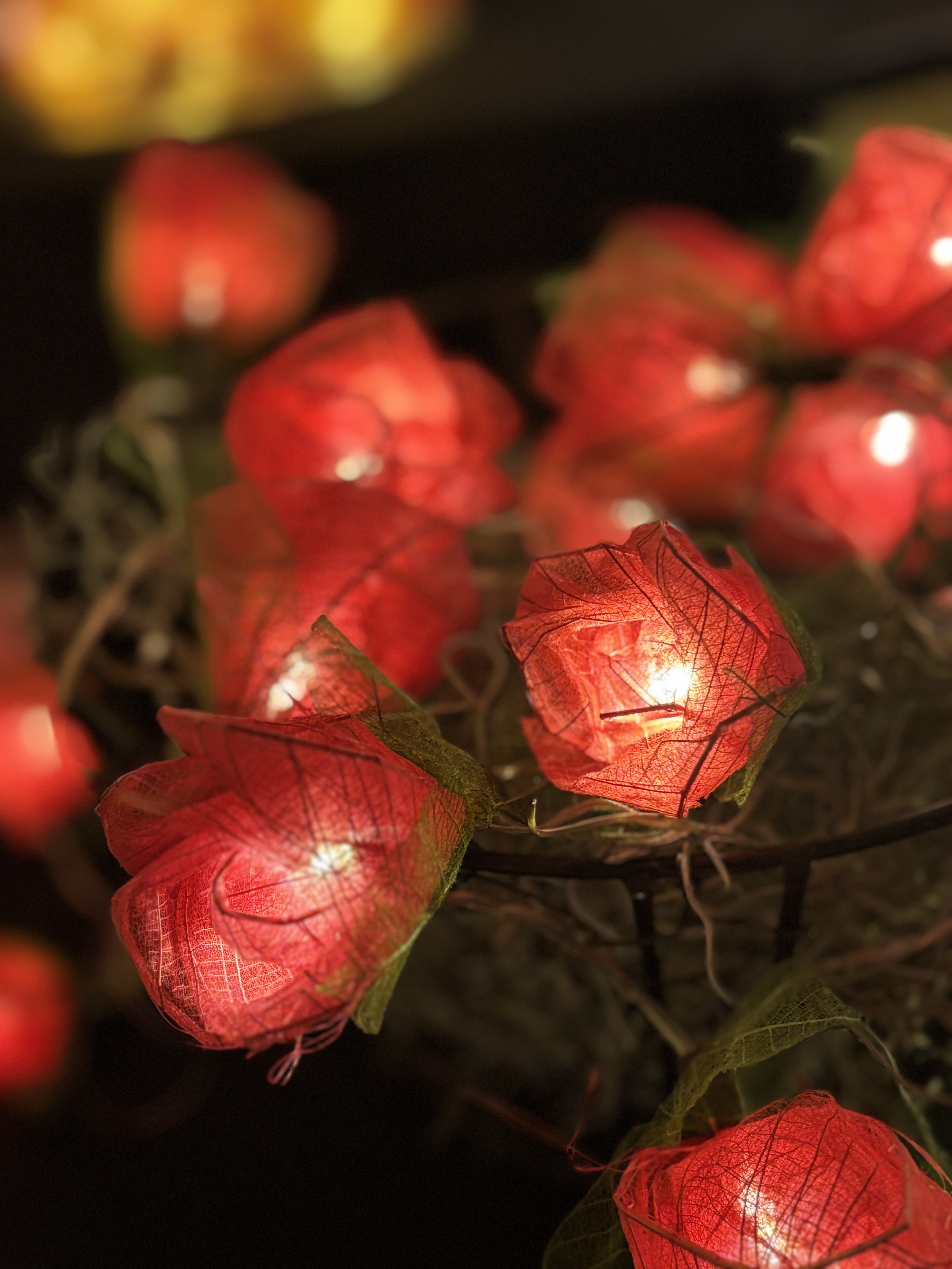 La guirlande Rose Rouge