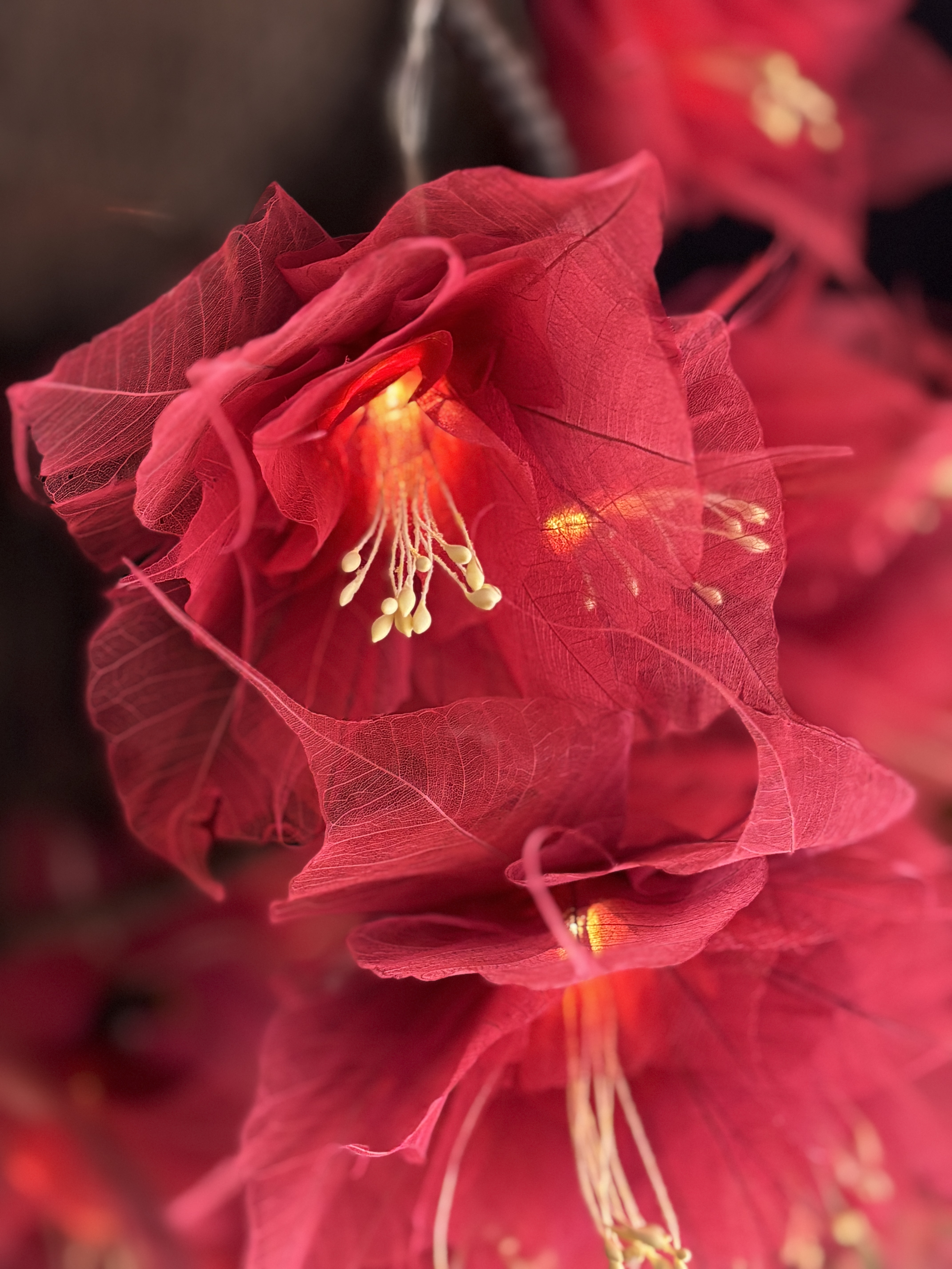 La Grande guirlande Pivoine Bordeaux/Rouge