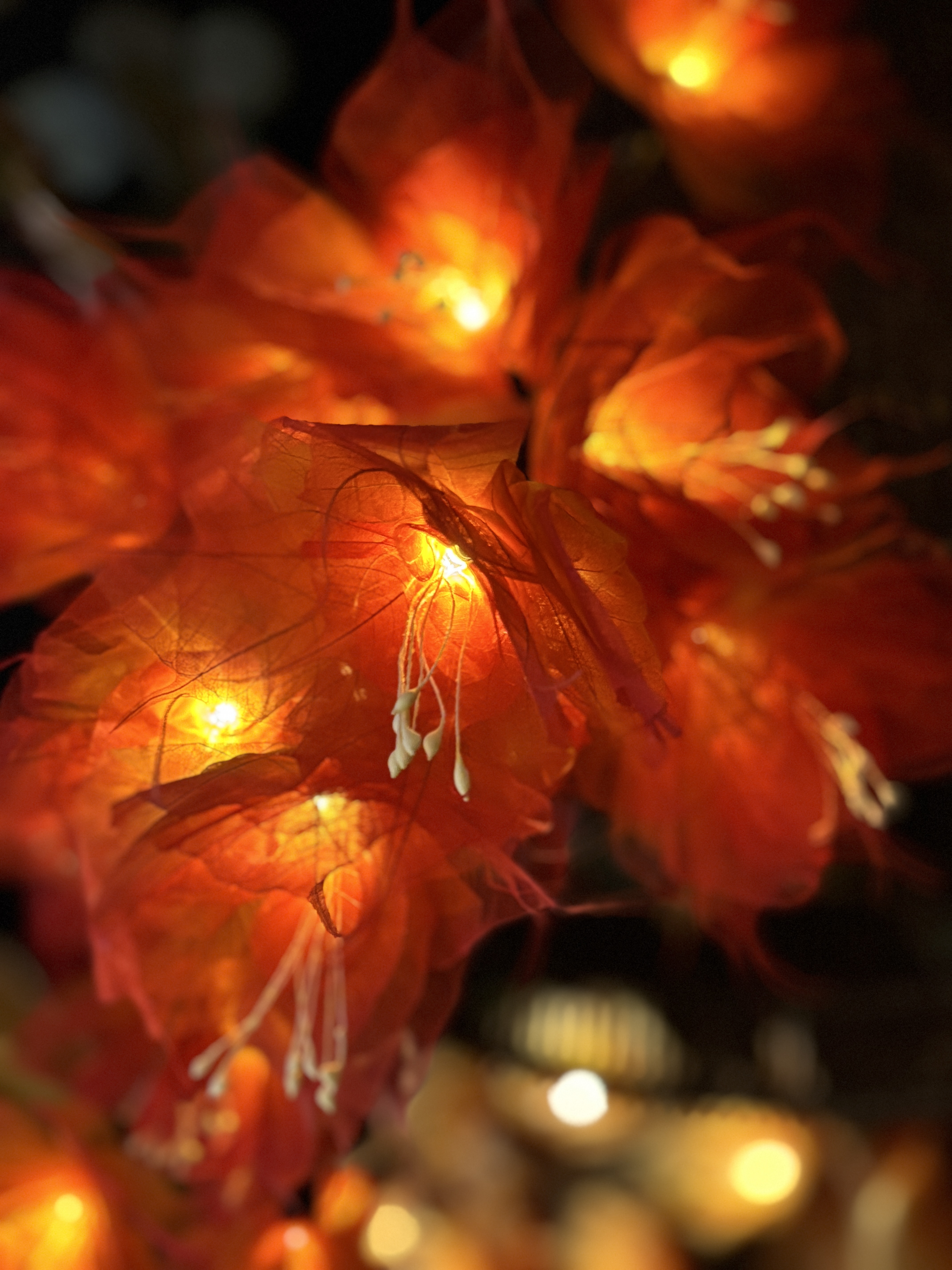 La Grande guirlande Pivoine Orange/Rouge