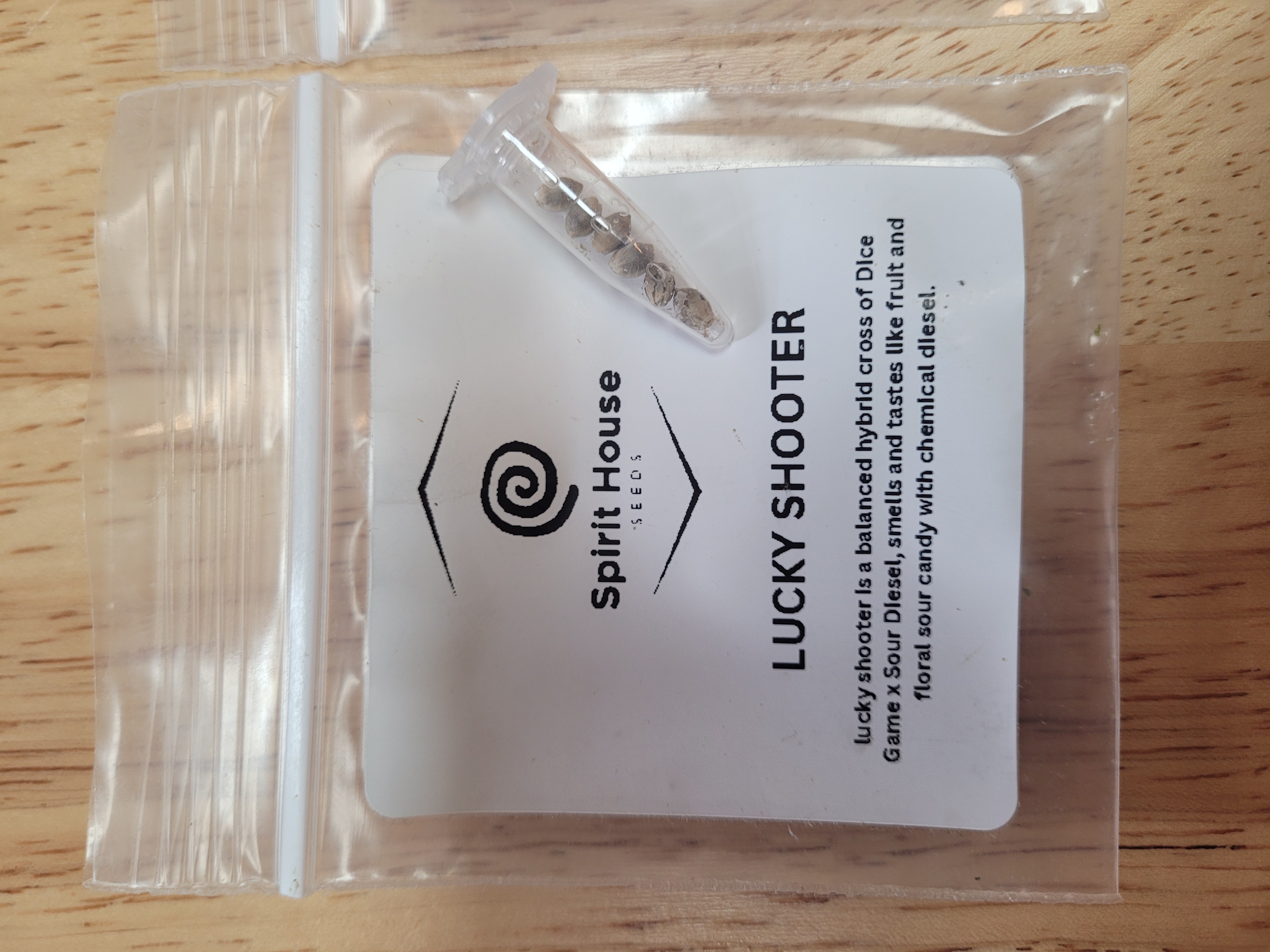 LUCKY SHOOTER SEEDS