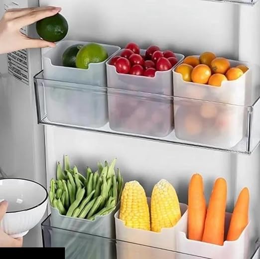 Rylan 6 fridge storage boxes multipurpose containers for storage Space-saving Refrigerator Side Door Organizer for fridge kitchen Fruits, Vegetables Storage Containers- transparent