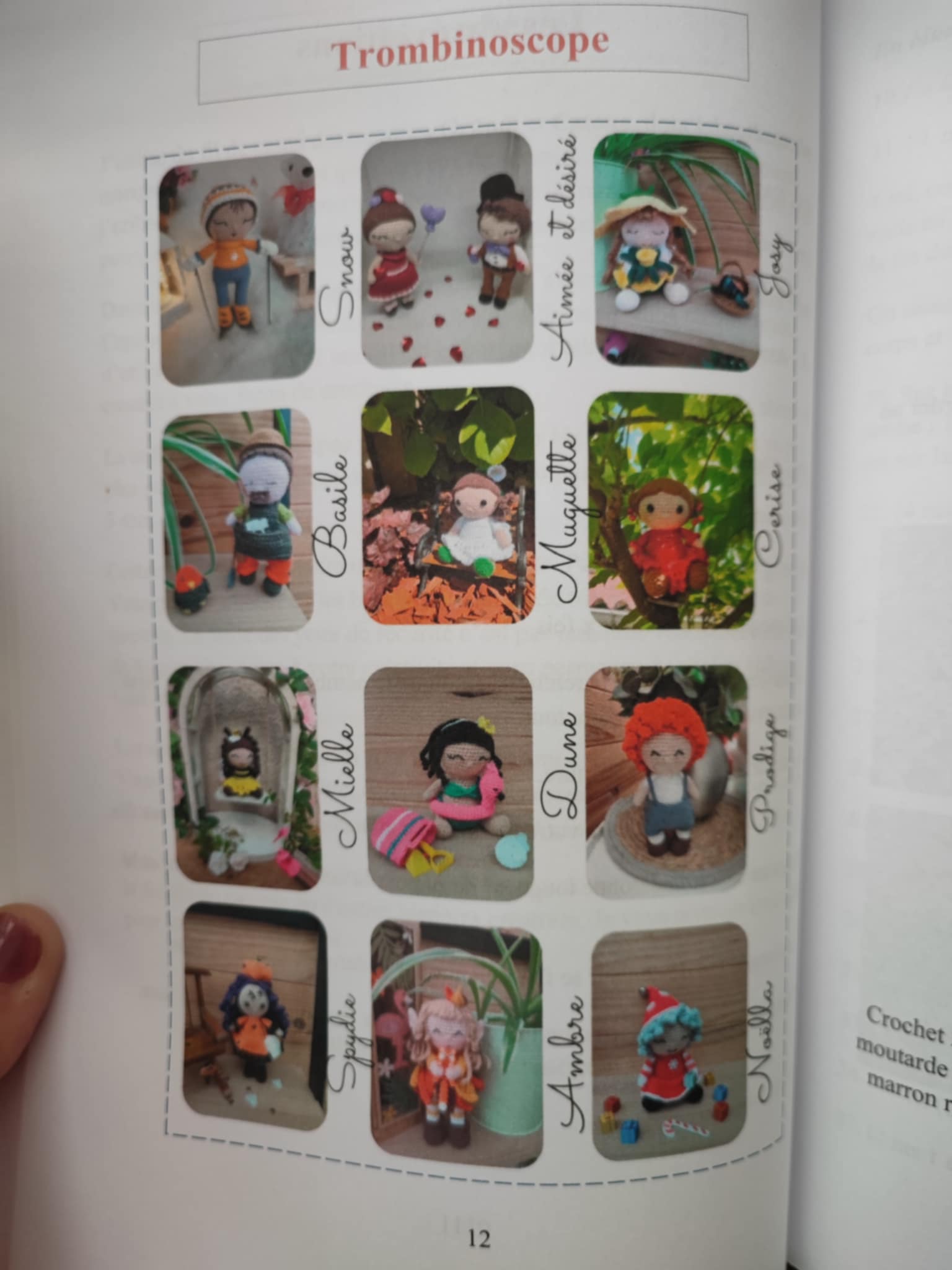 Livre au crochet : les douze poupées de l'année