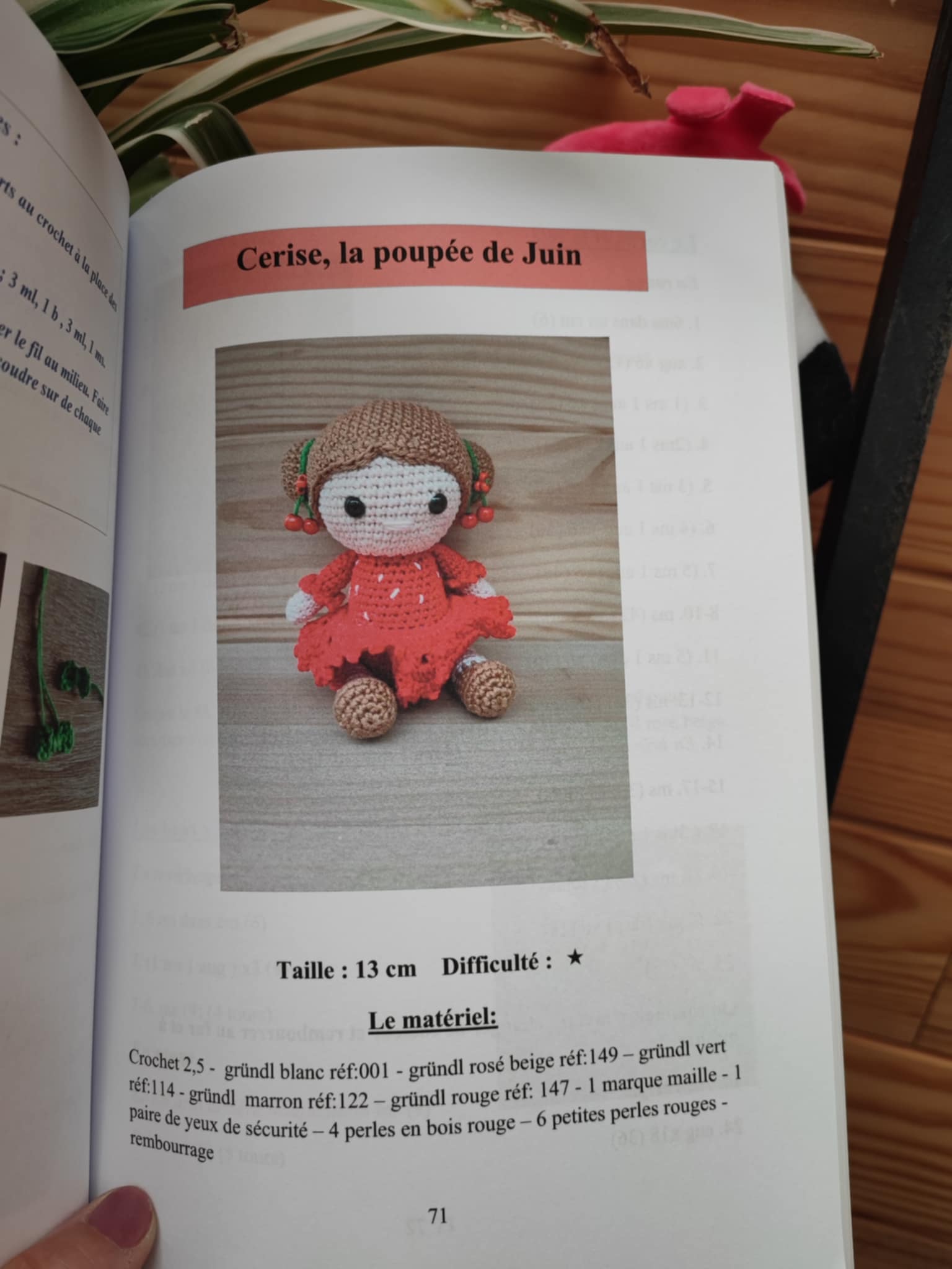 Livre au crochet : les douze poupées de l'année