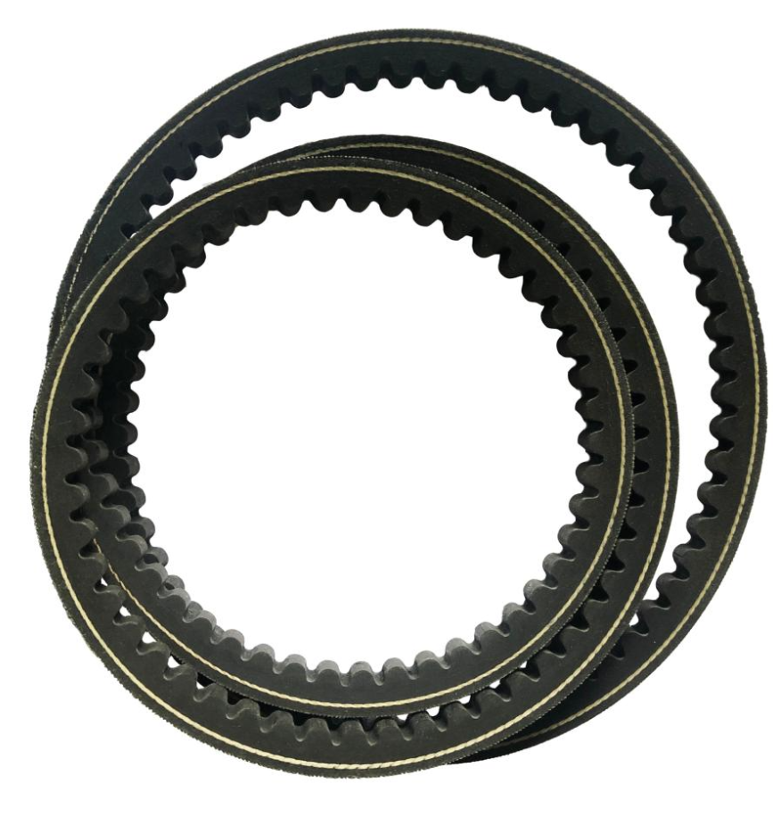 Courroie SKF BX 80 