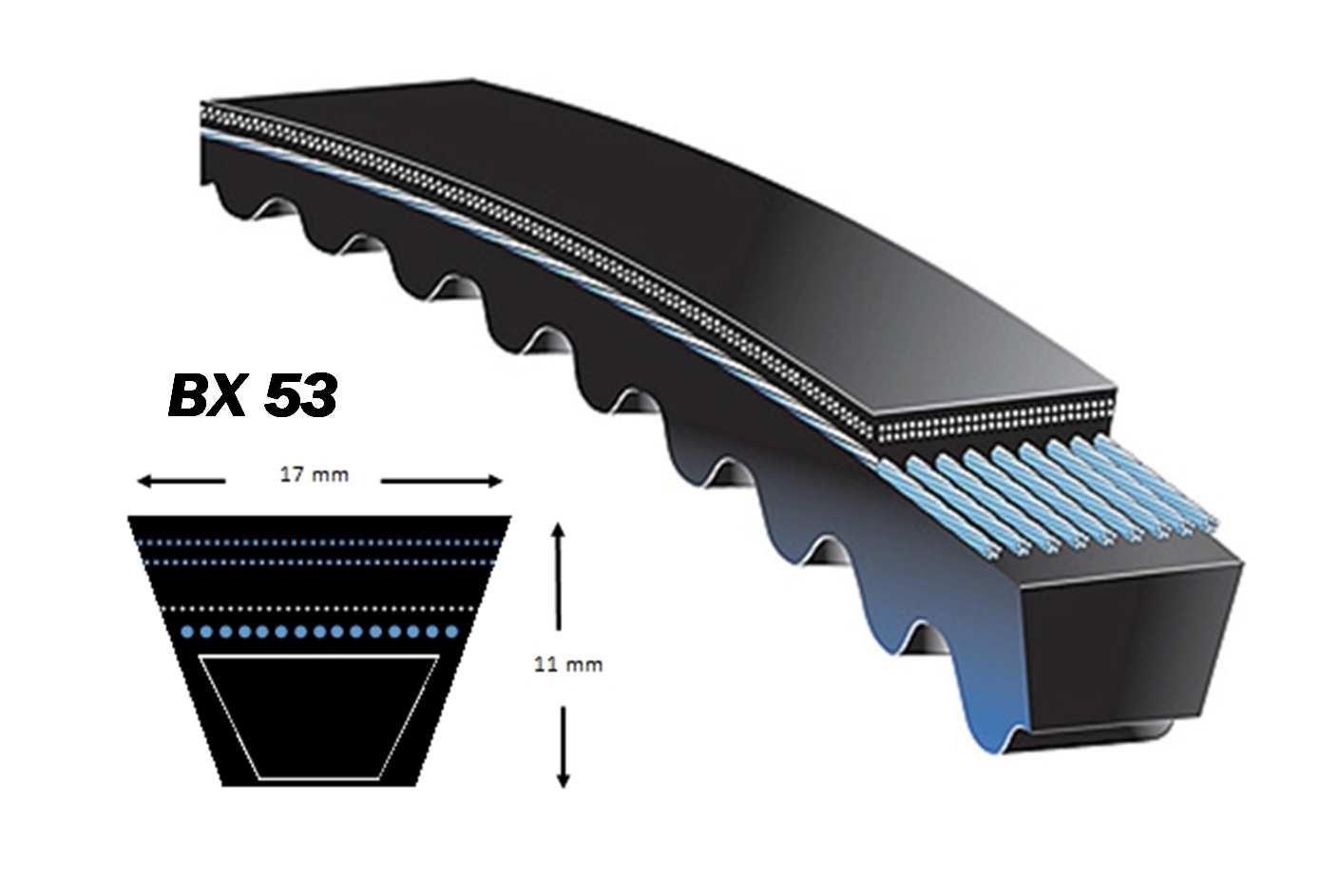 Courroie SKF BX 53
