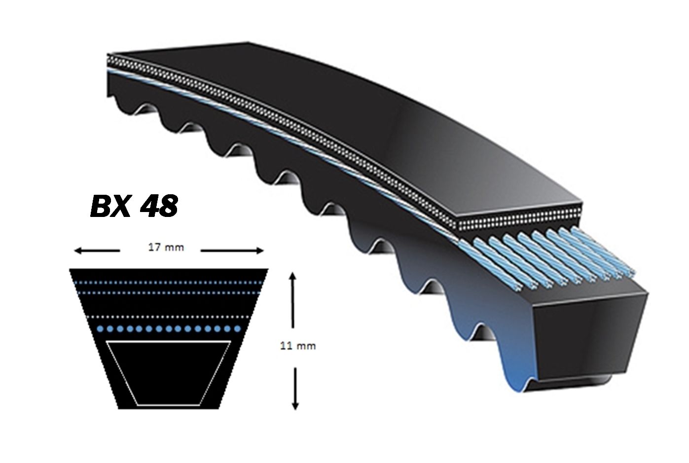 Courroie SKF BX 48