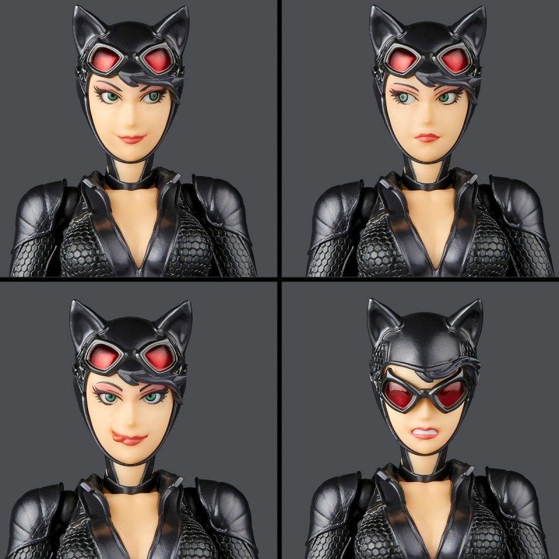 Amazing Yamaguchi Catwoman - Batman: Arkham Knight Limited