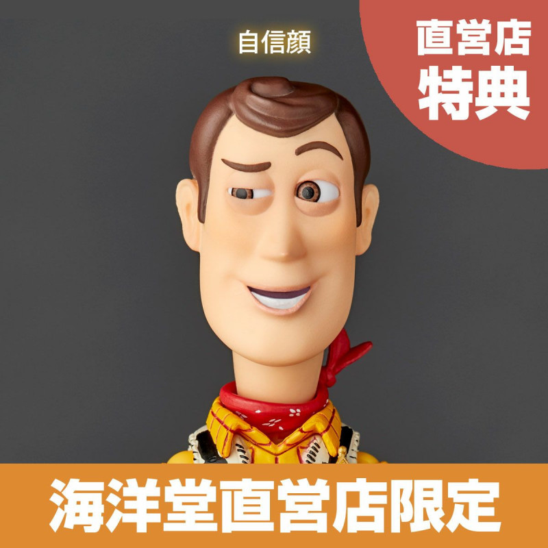 Revoltech Woody ver.2.0 TOY STORY Action Figure Limited Bonus Set