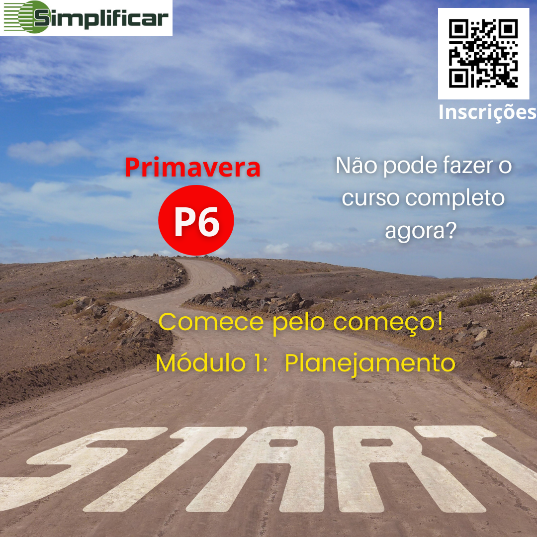MÓDULO 1 - Planejamento no Primavera P6 
