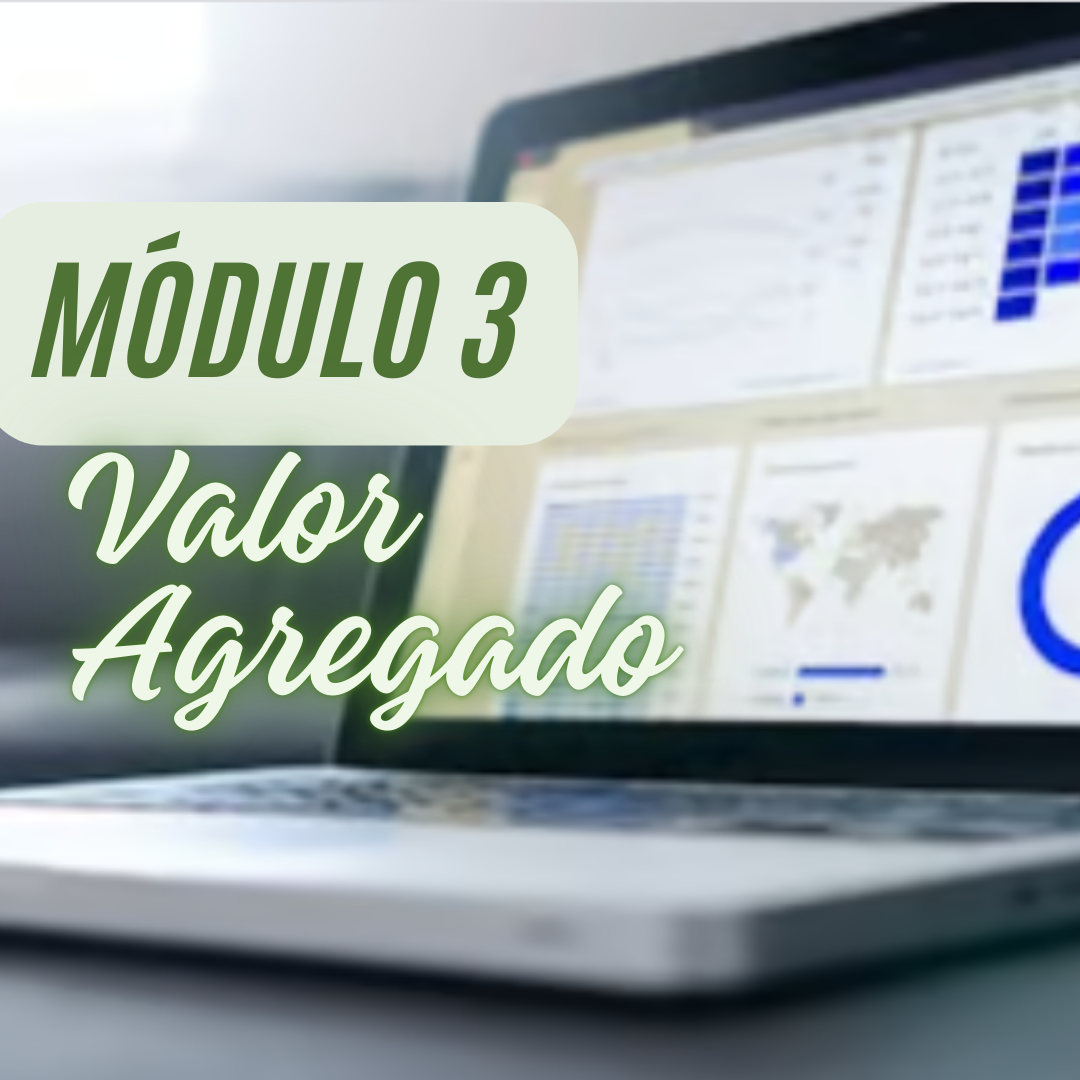 MÓDULO 3: Valor Agregado no Primavera P6