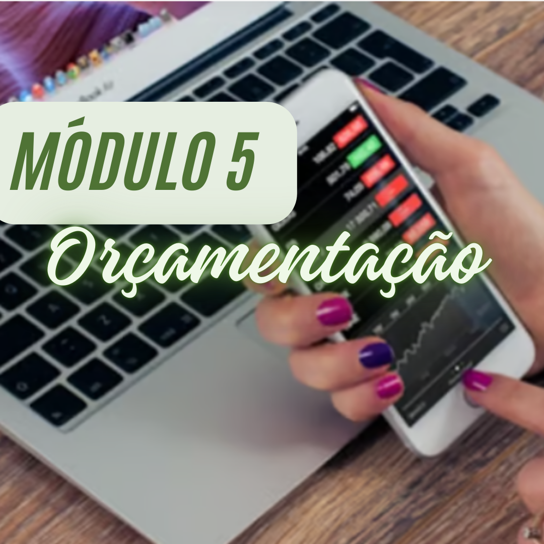 MÓDULO 5: Orçamentação no P6