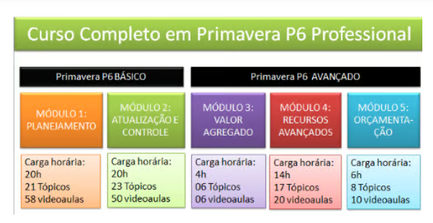 MÓDULO 3: Valor Agregado no Primavera P6 