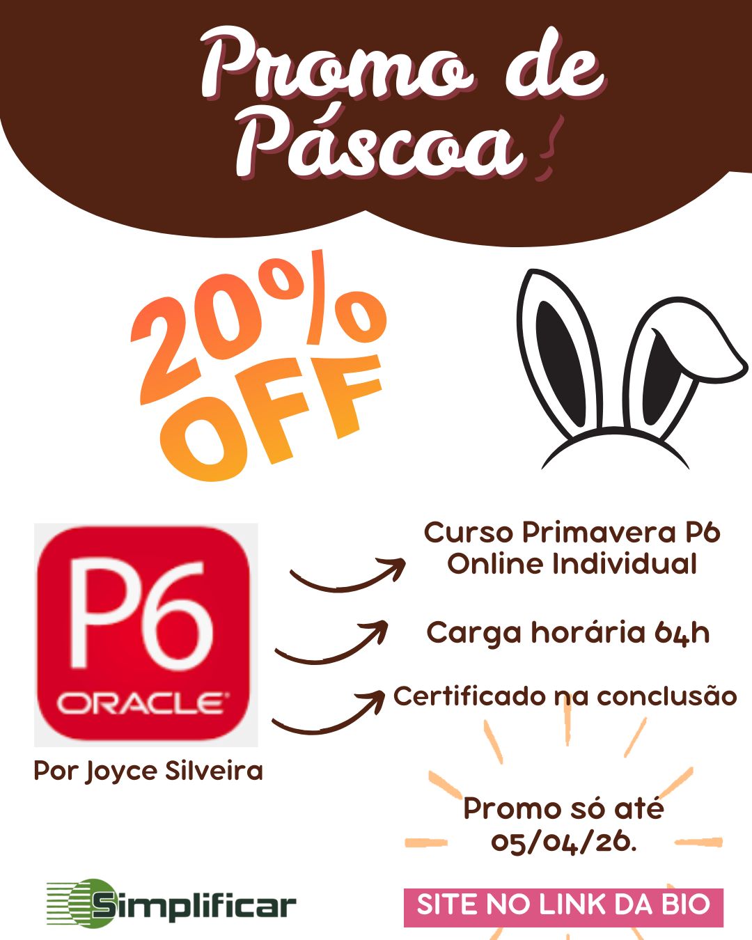 Curso Primavera P6 COMPLETO 