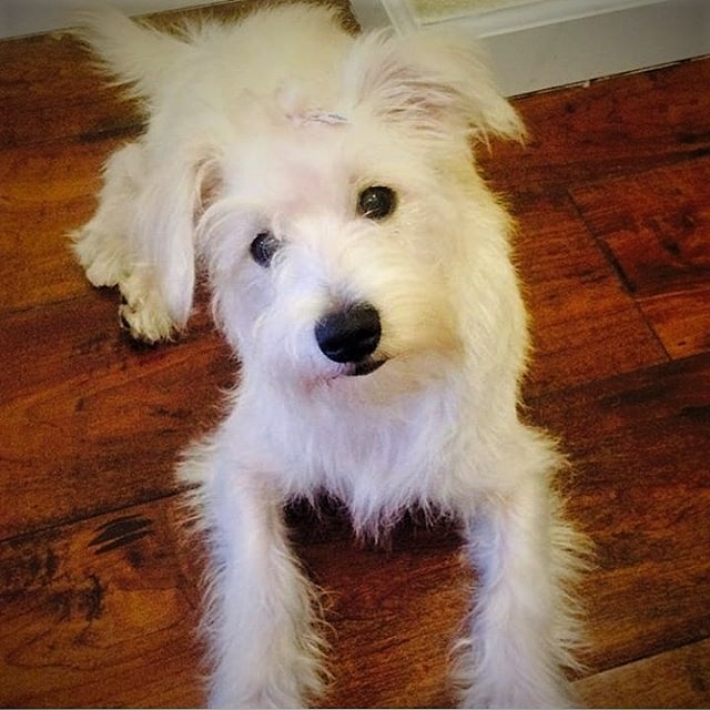 Behavior Alignment Program