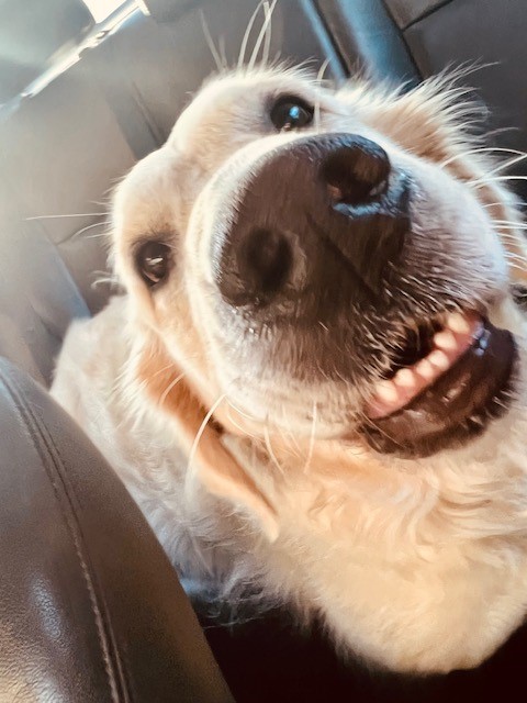 Boarding **prior approval required**