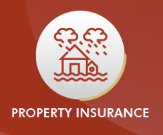 Property Insurance
