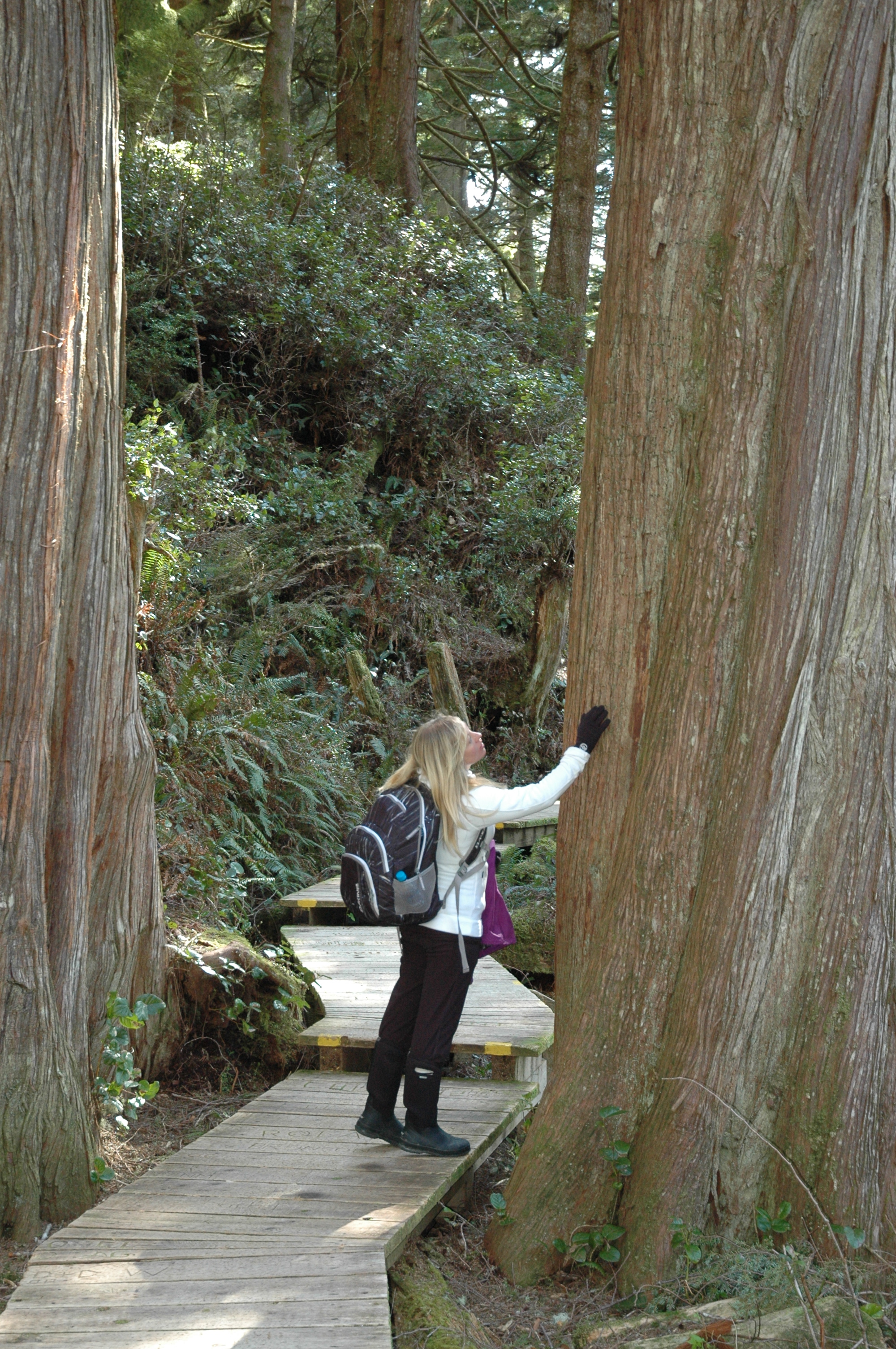 Chill Girl + Friends Camping Trip: Tofino (mixed gender)