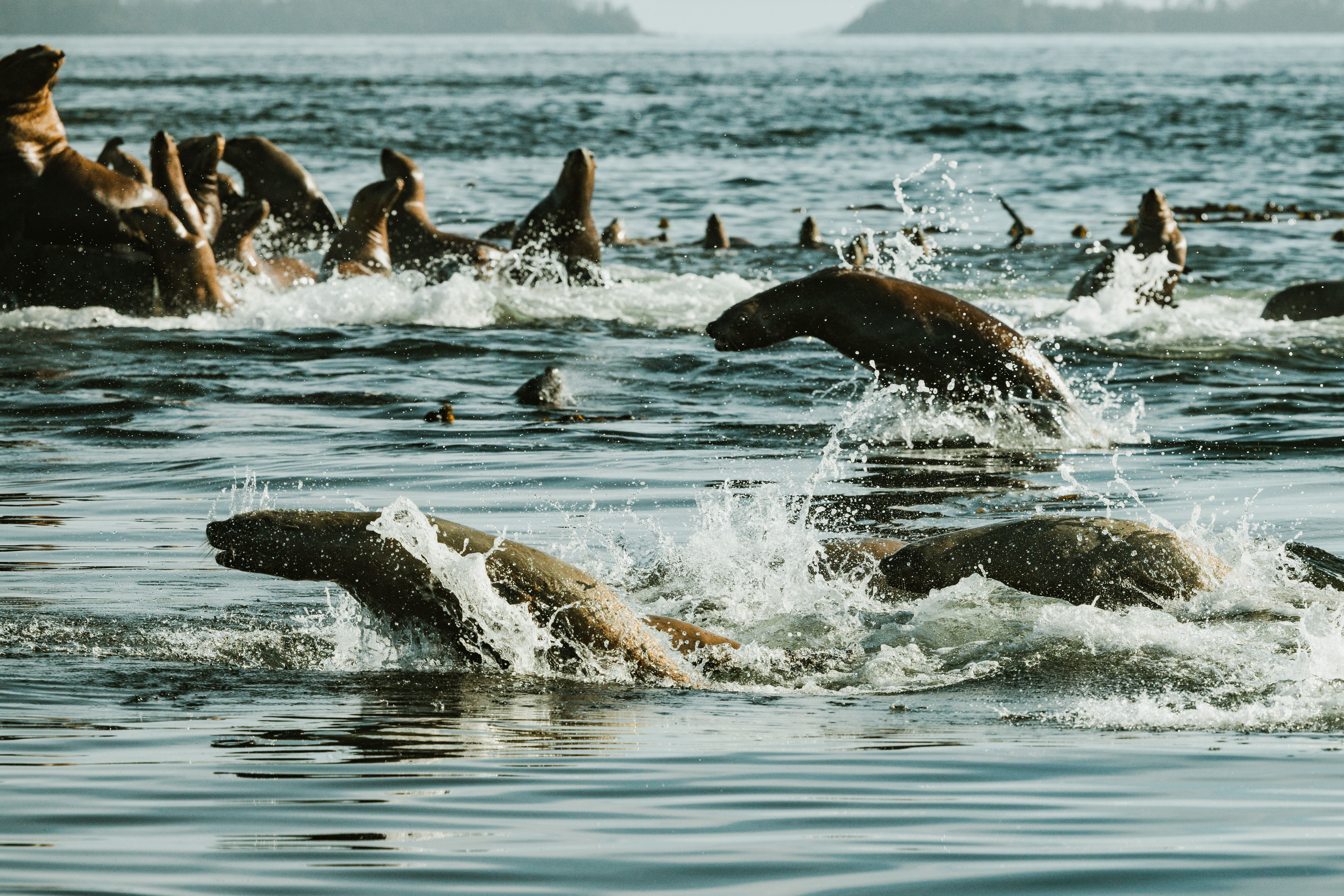 Haida Gwaii and the Canadian West Coast
