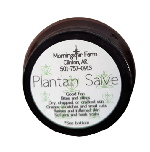 Plantain Salve 