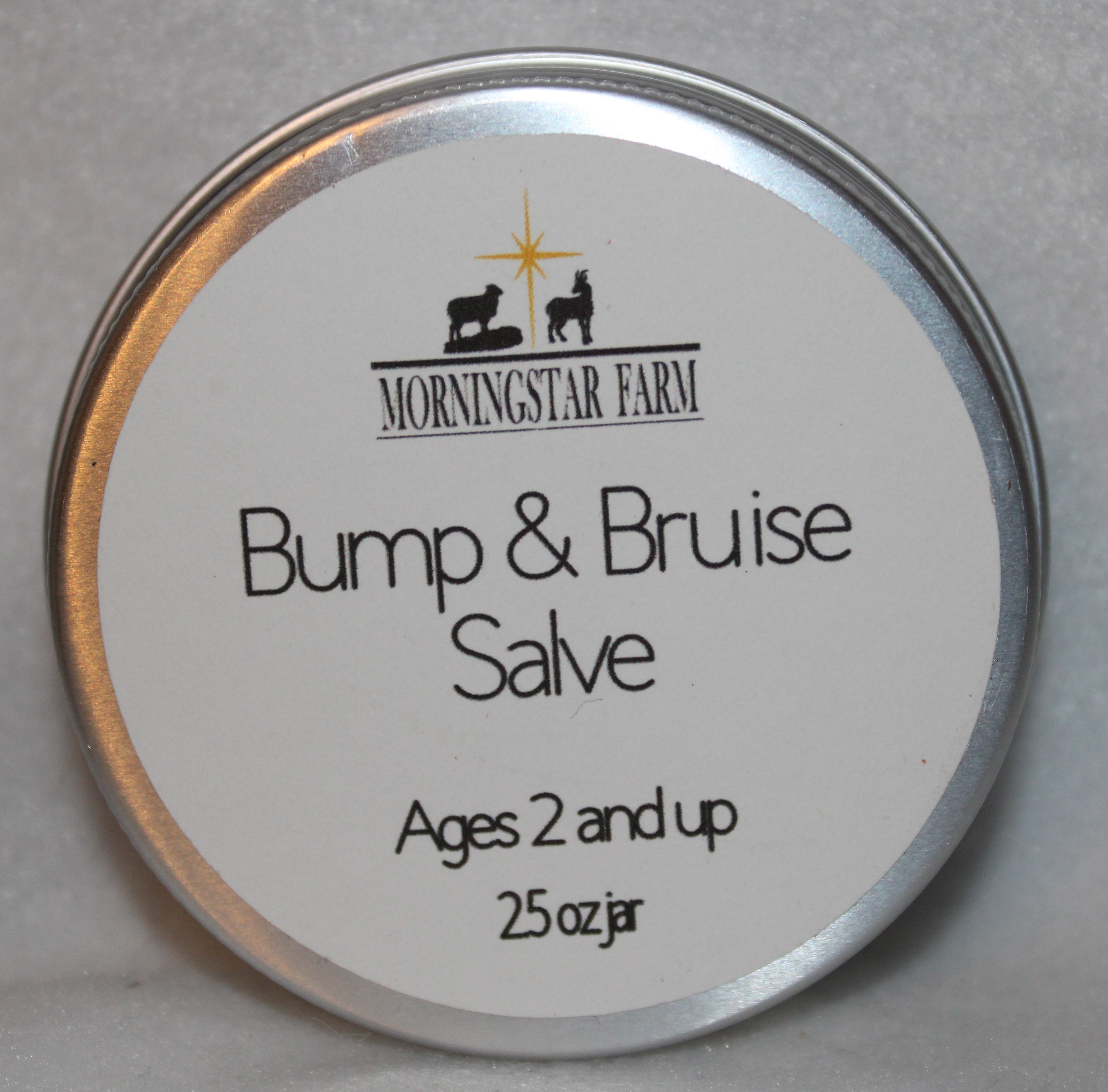 Bump & Bruise Salve