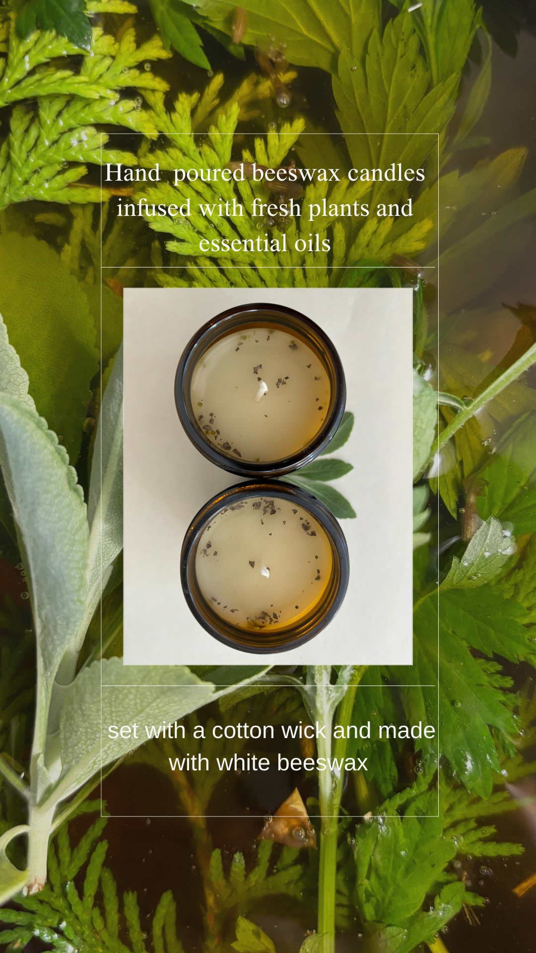 White Sage and Cedar Hand-poured beeswax candles