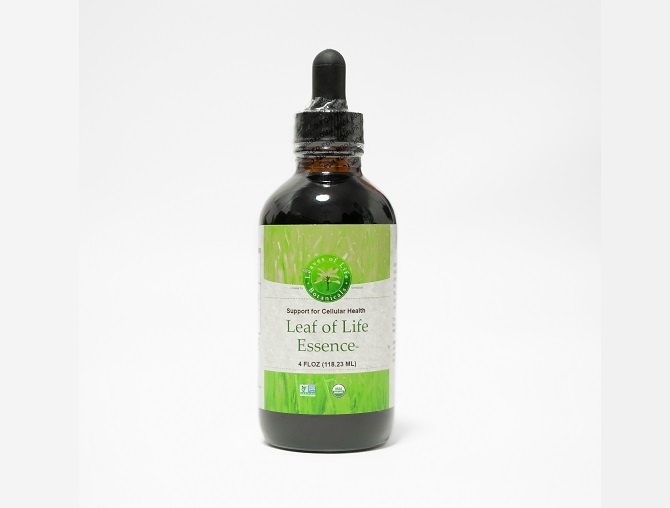 Leaf of life Essence | 4 oz