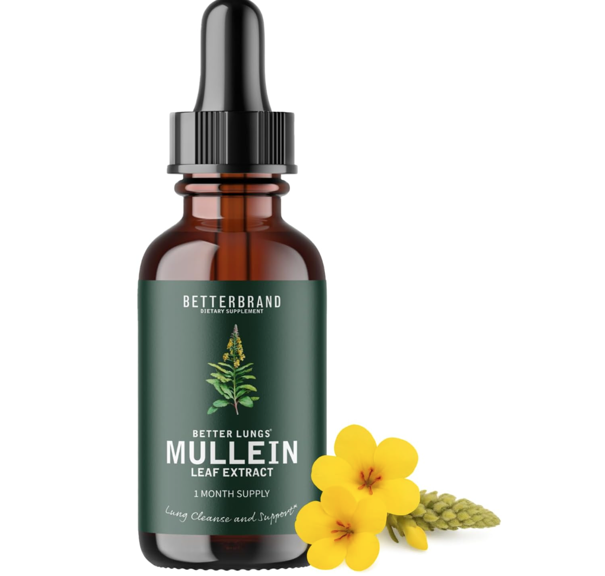 Mullein Leaf Extract
