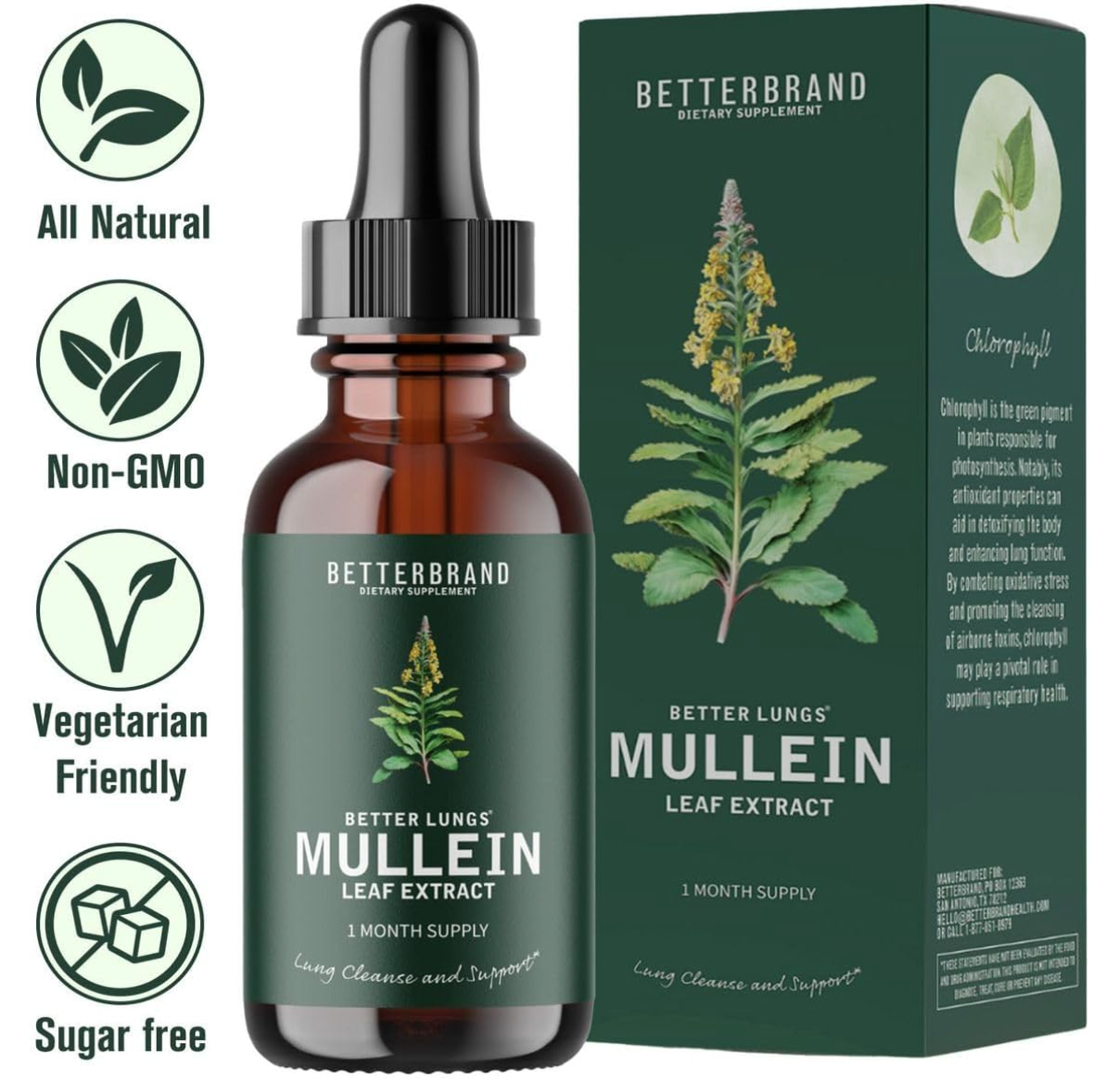 Mullein Leaf Extract